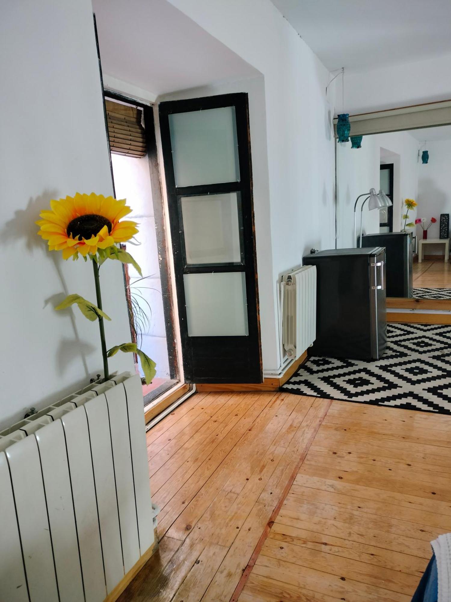 Gran Con Balcon En Tirso De Molina * Madrid