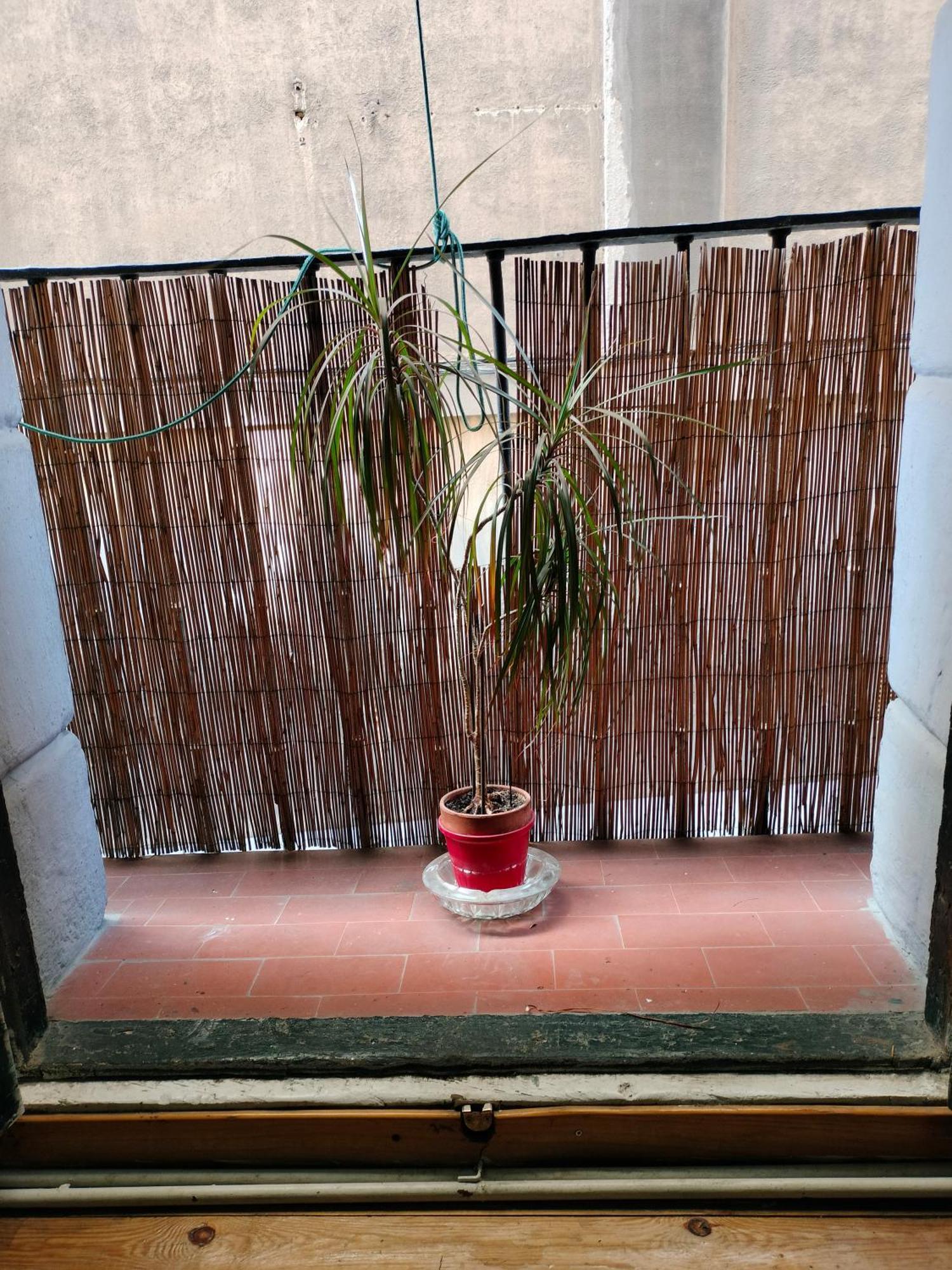 Gran Con Balcon En Tirso De Molina Homestay