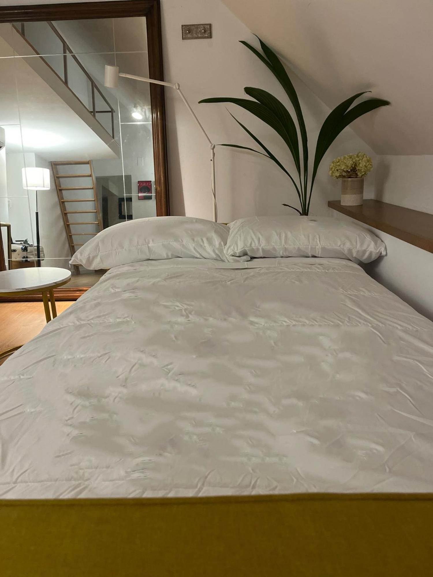 Apartment 5* Penthouse En Plaza Mayor