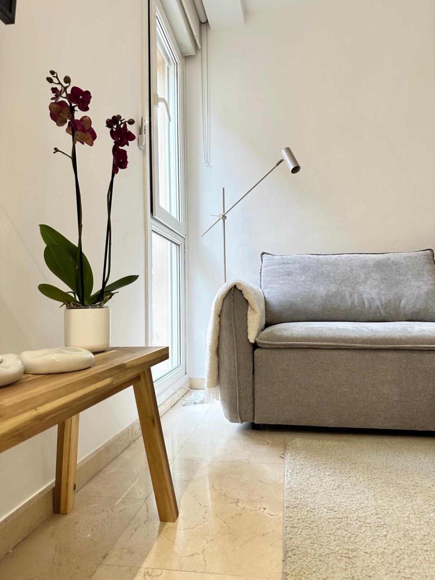 Cozy In Malasana Madrid