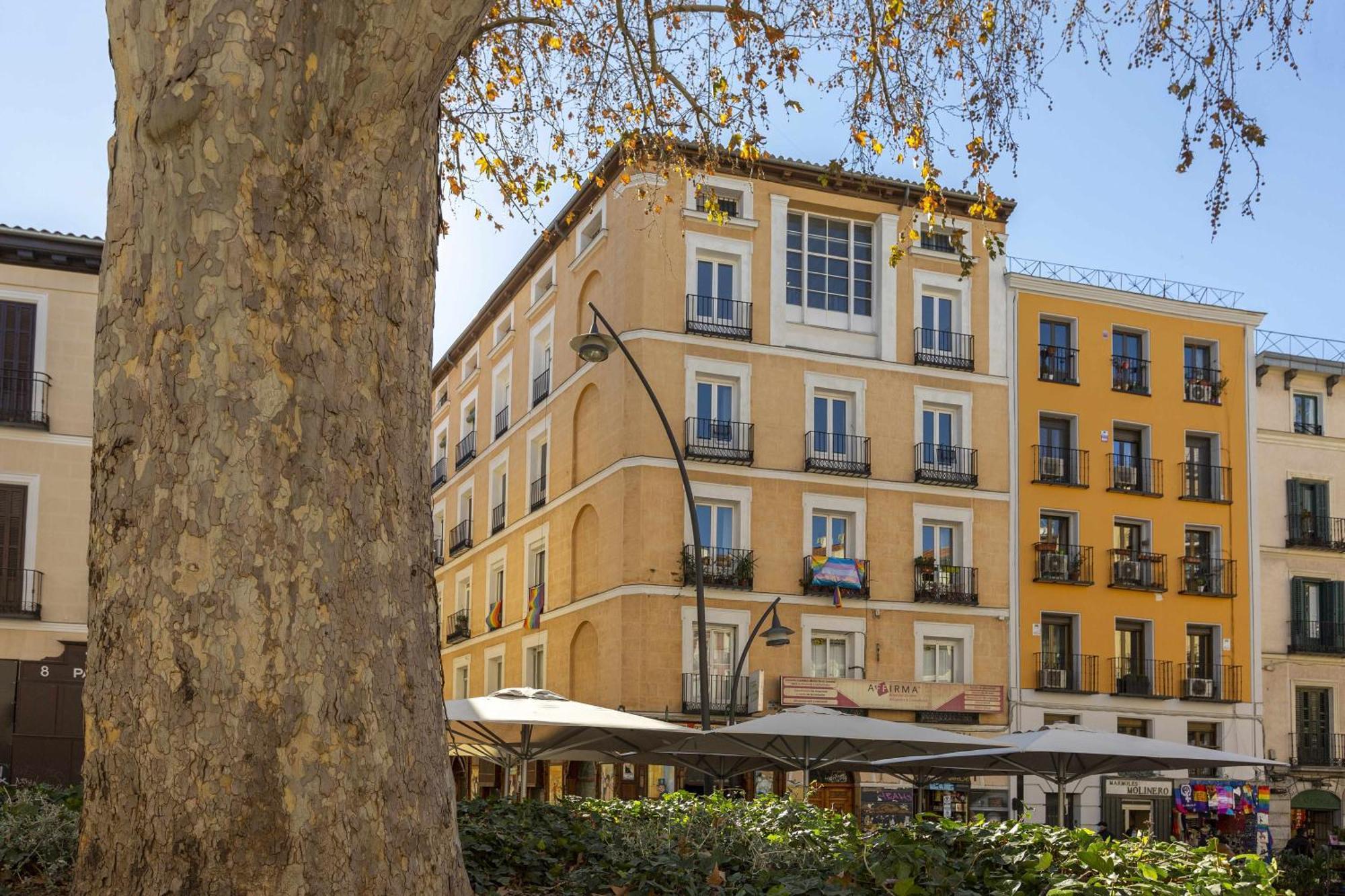 Sol Y Tirso Albergue Madri