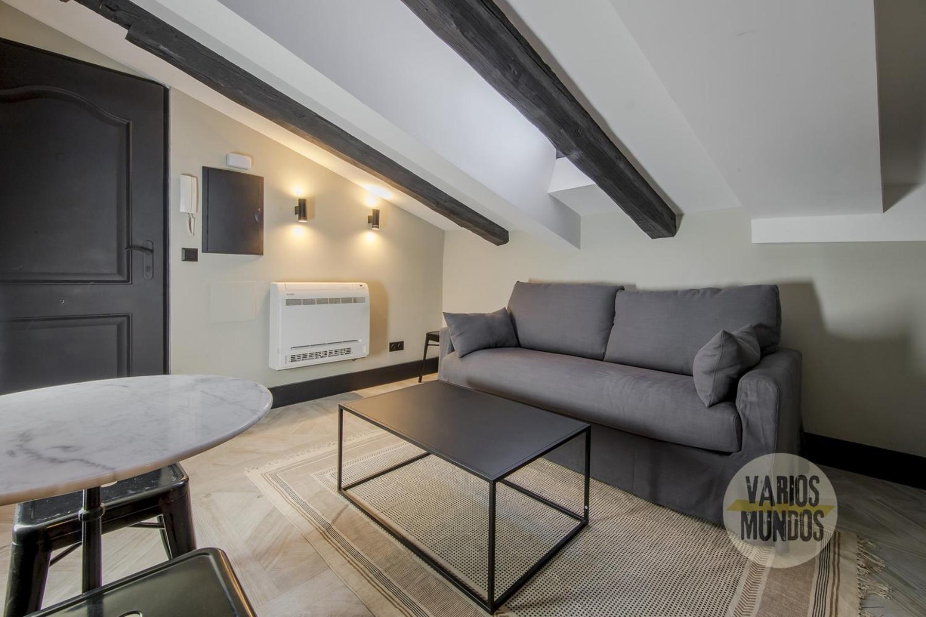 Familiar 5pax En Calle Santa Ana-centro E2 Madri