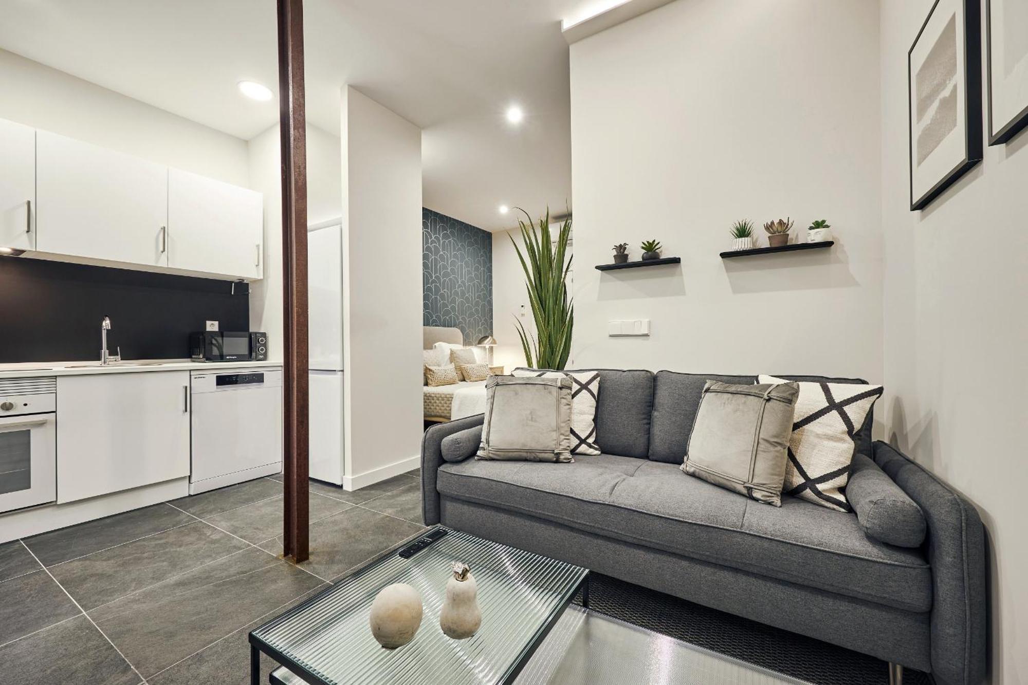 Apartment La Latina Style, By Presidence *