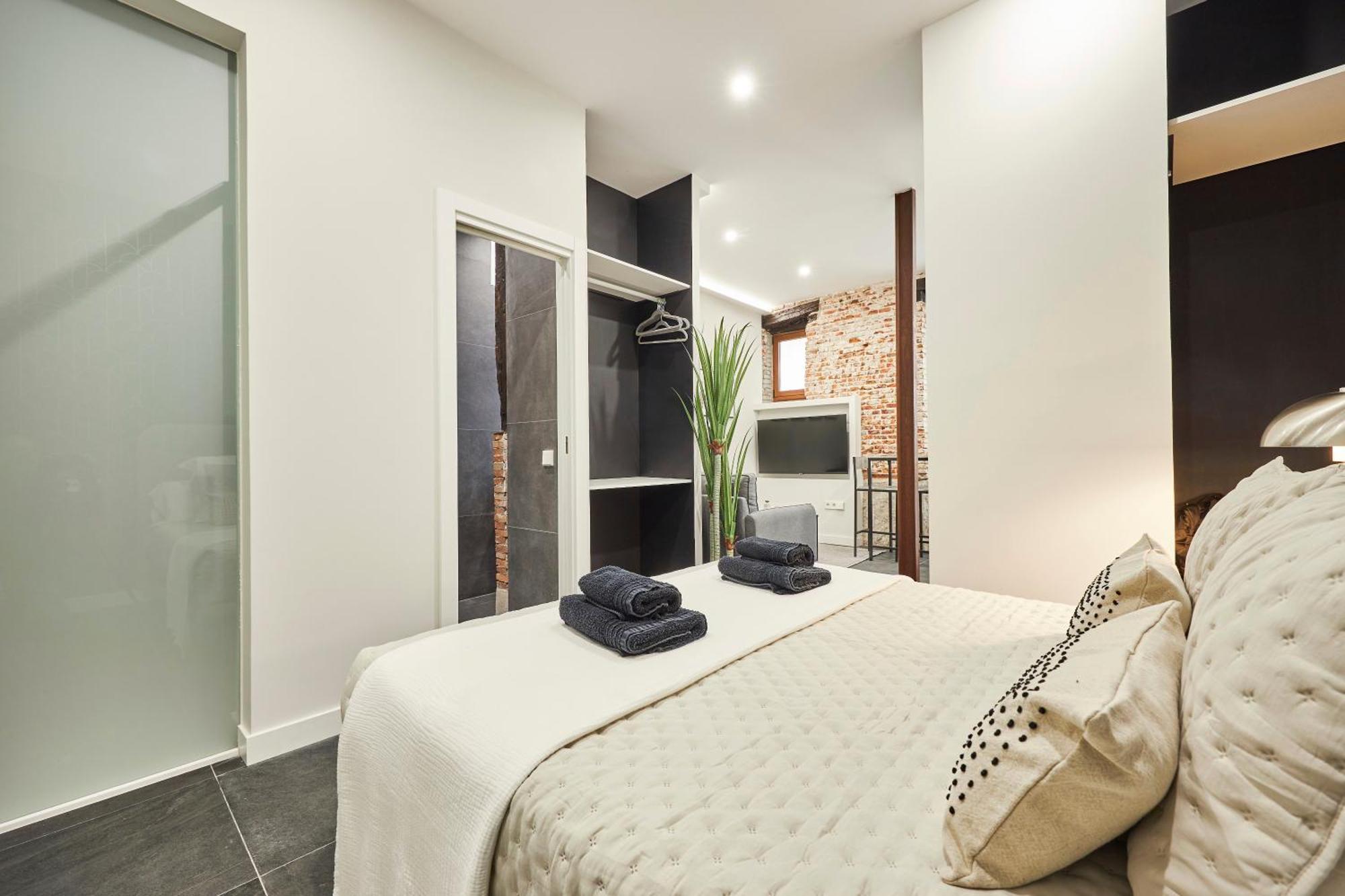Apartment La Latina Style, By Presidence *