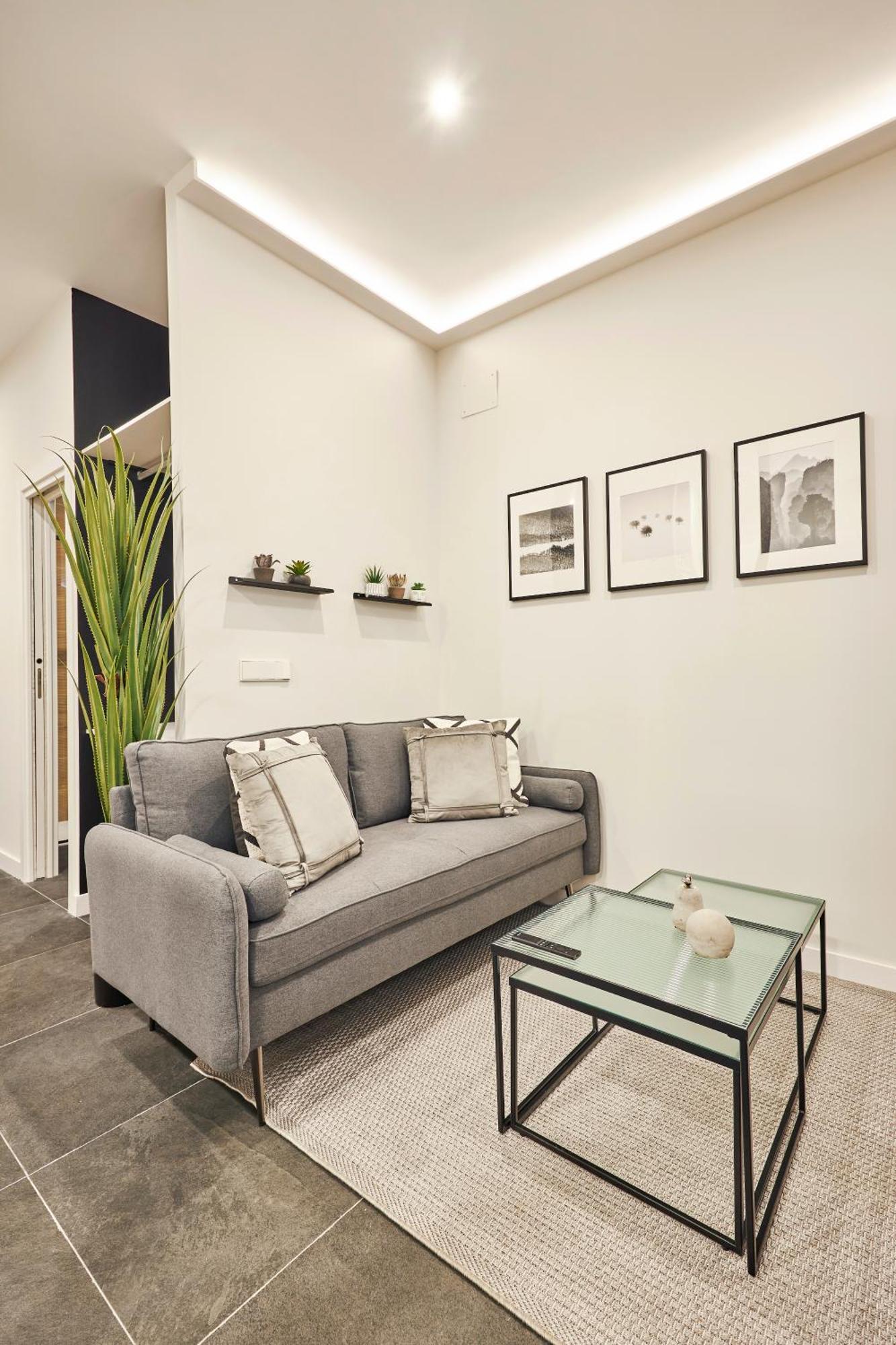 Apartment La Latina Style, By Presidence *