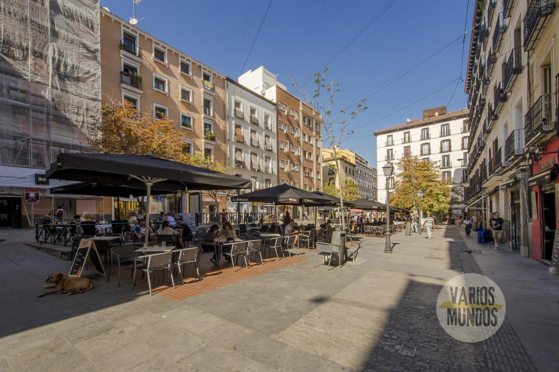 Apartment Nuevo Atico Loft 1hab 3pax En La Plaza De Chueca *