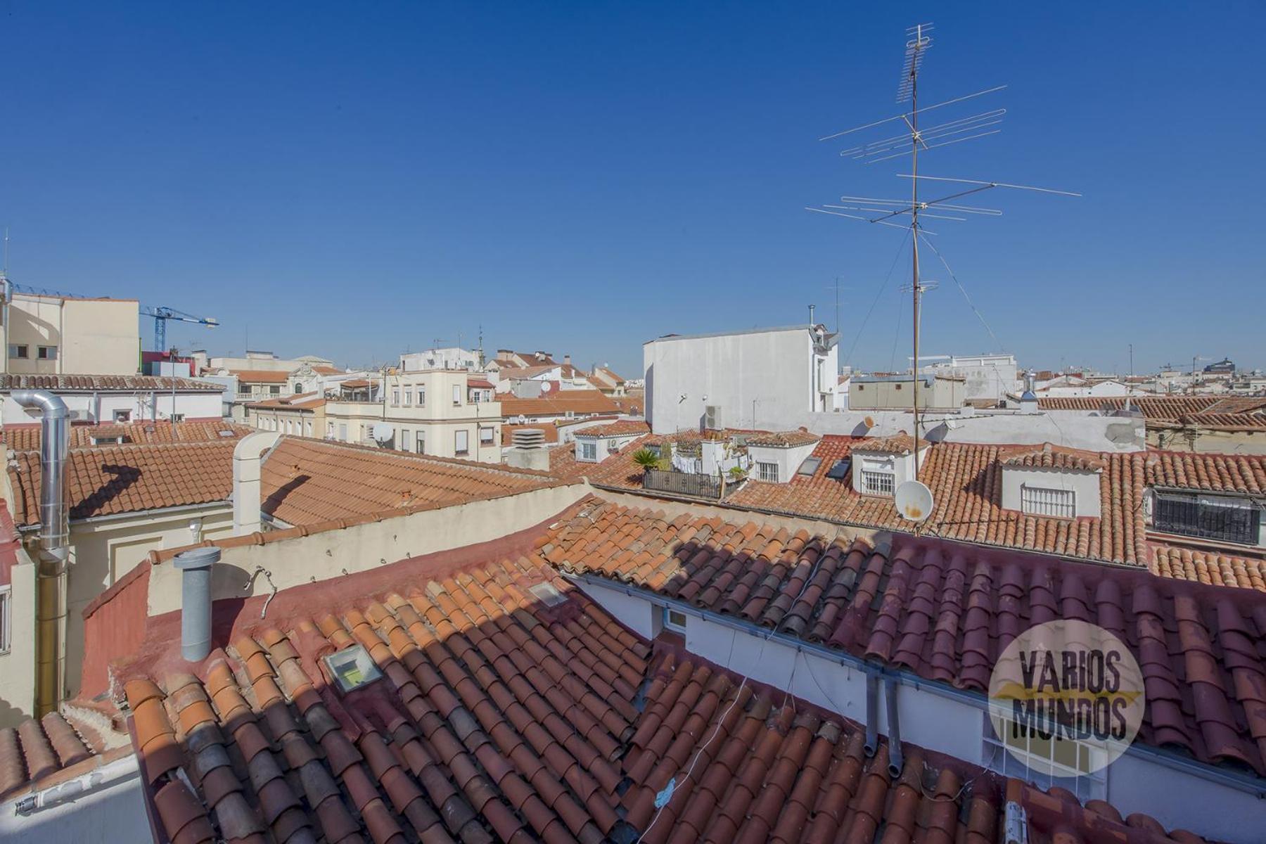 Apartment Amazing 1hab 4pax En La Plaza De Chueca