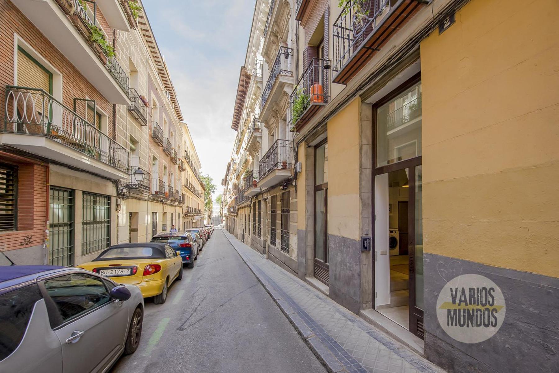 Stylish Loft With 2 Beedrooms En El Centro - La Latina E2 Lejlighed Madrid