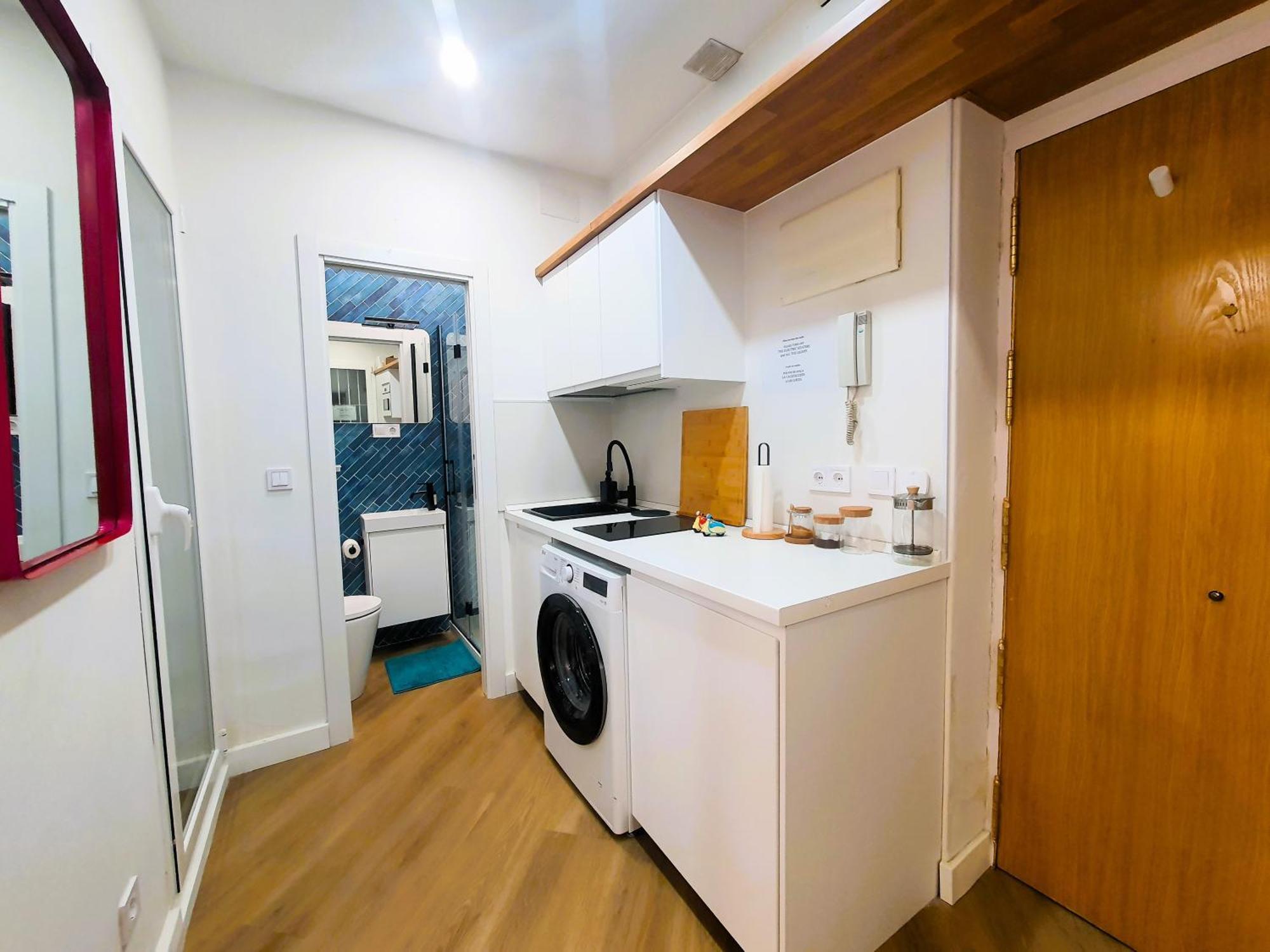 Rentadore Lavapies Studio Apartment Madrid