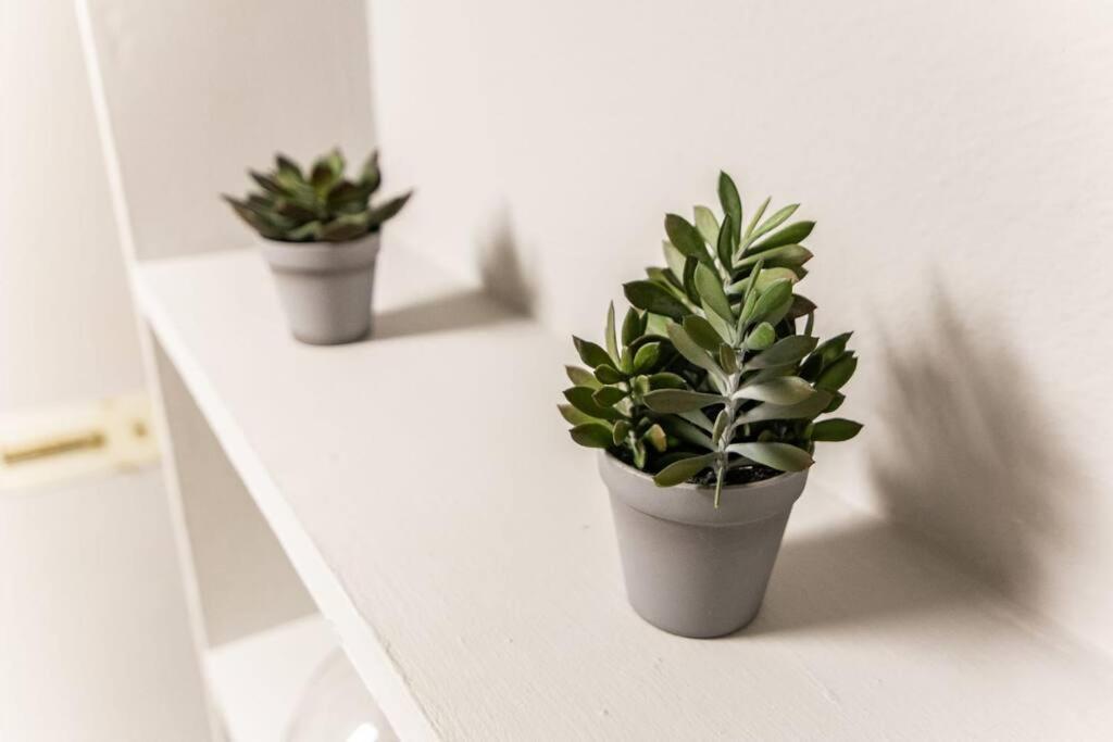 Cozy In The Heart Of Madrid.m31 Apartment Madrid
