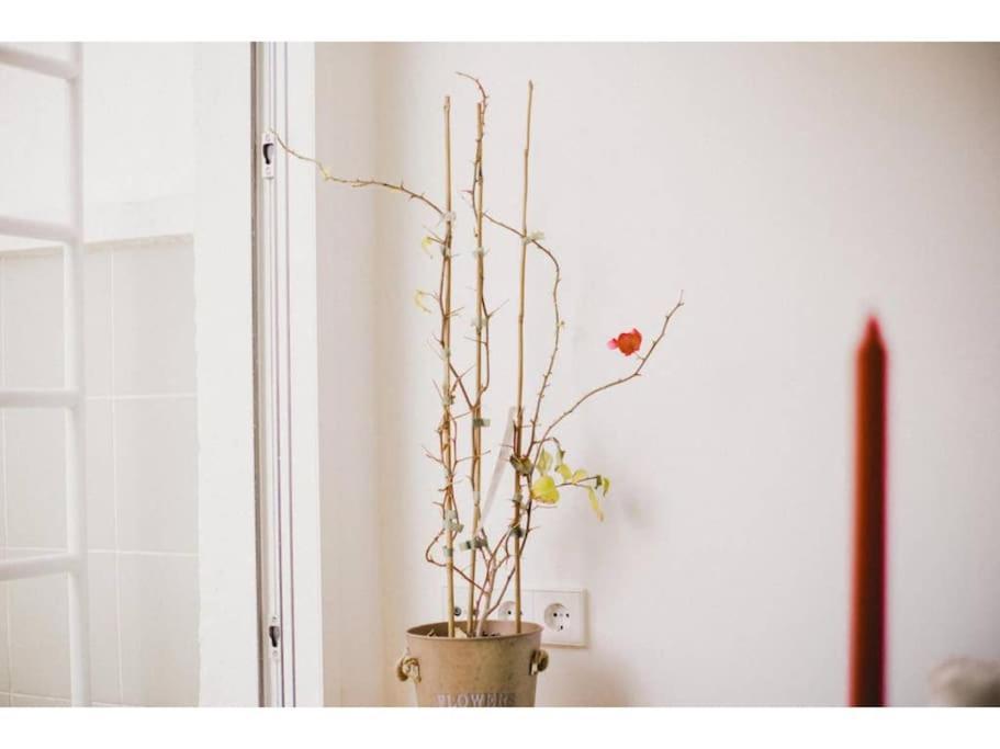 Skyline Penthouse In The Heart Of Tet