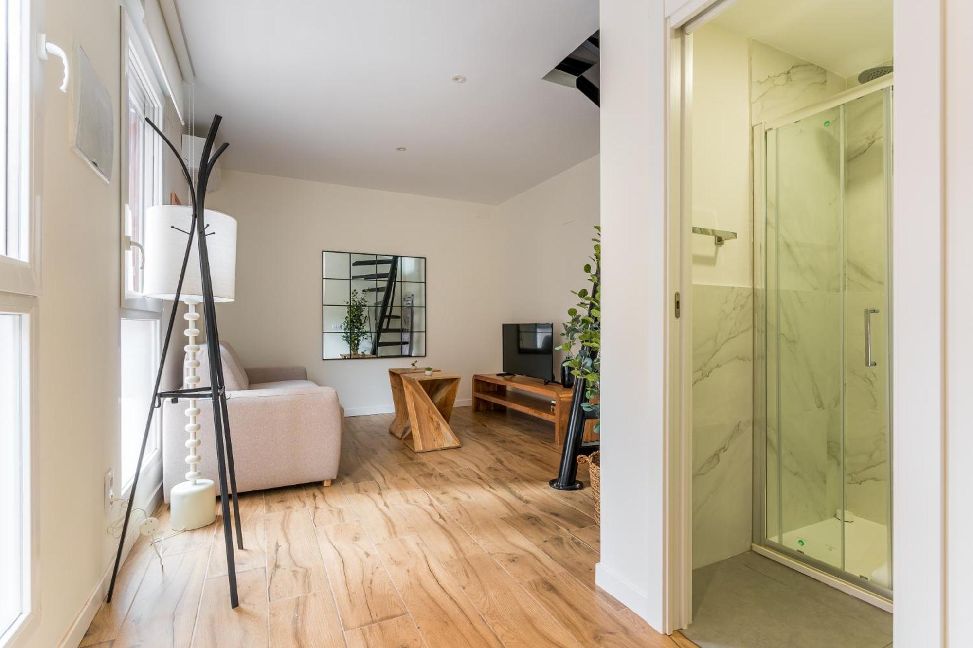 Cozy Apartment- 1bd 1bth- Plaza Castilla Apartment