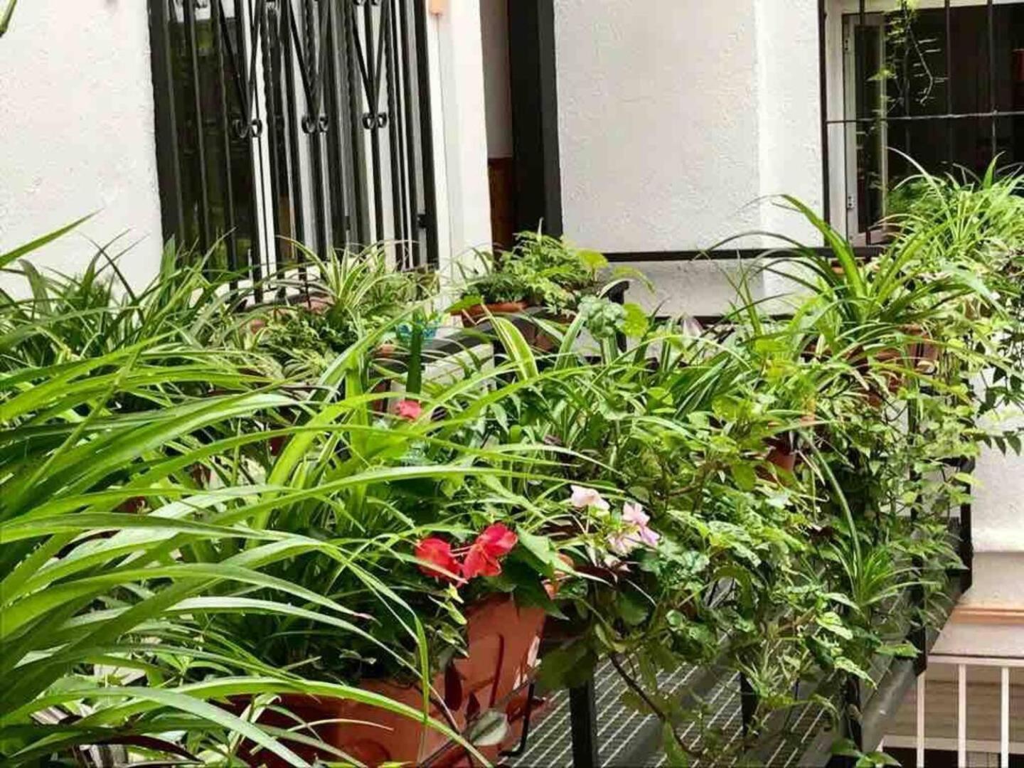 Apartamento Flamencos, Malasana Loft 45mq Madri