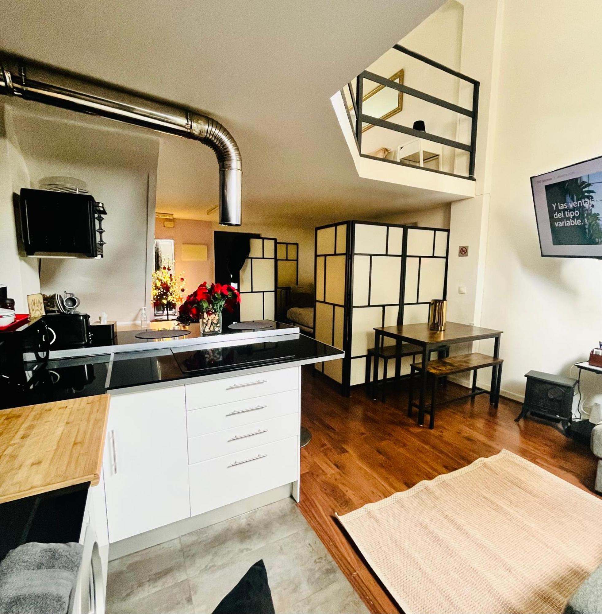 Loft Duplex Lejlighed Madrid