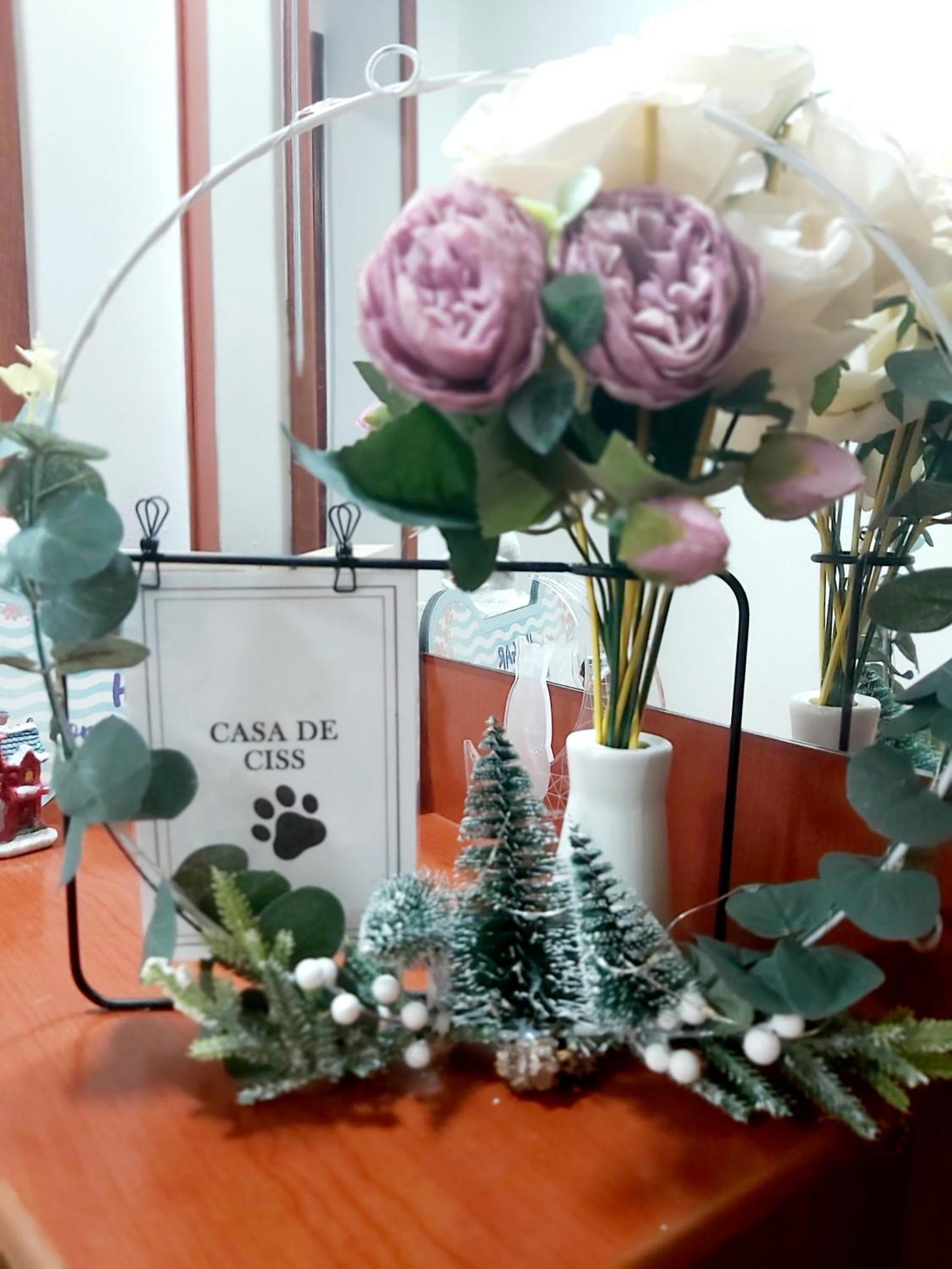 Casa De Ciss Hospedagem domiciliar *