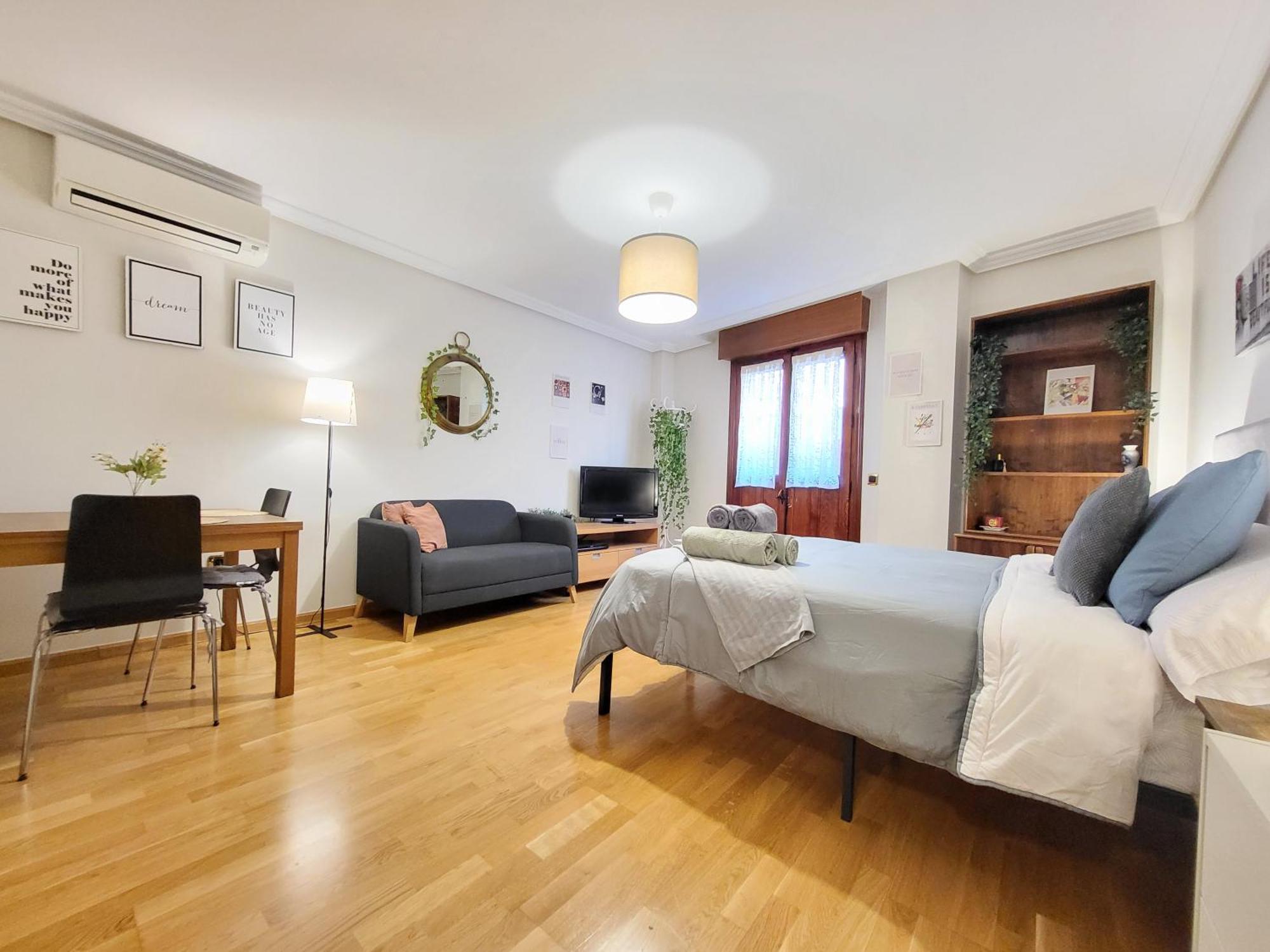 Apartment Apartamento Plaza Espana Gran Via Centro
