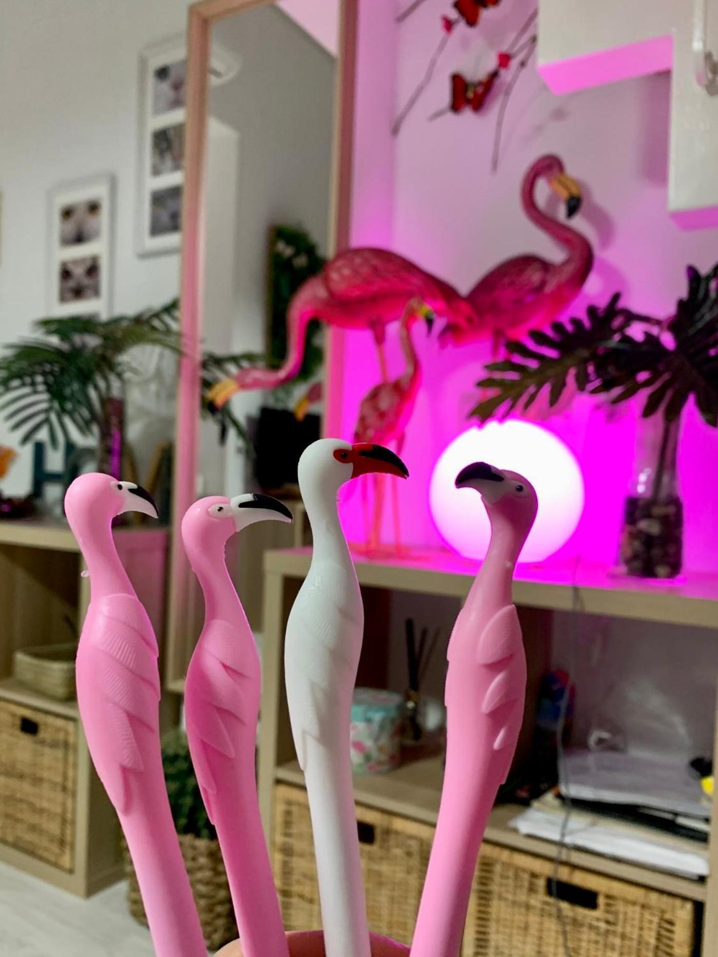 Apartamento Flamencos, Malasana Loft 45mq Madri