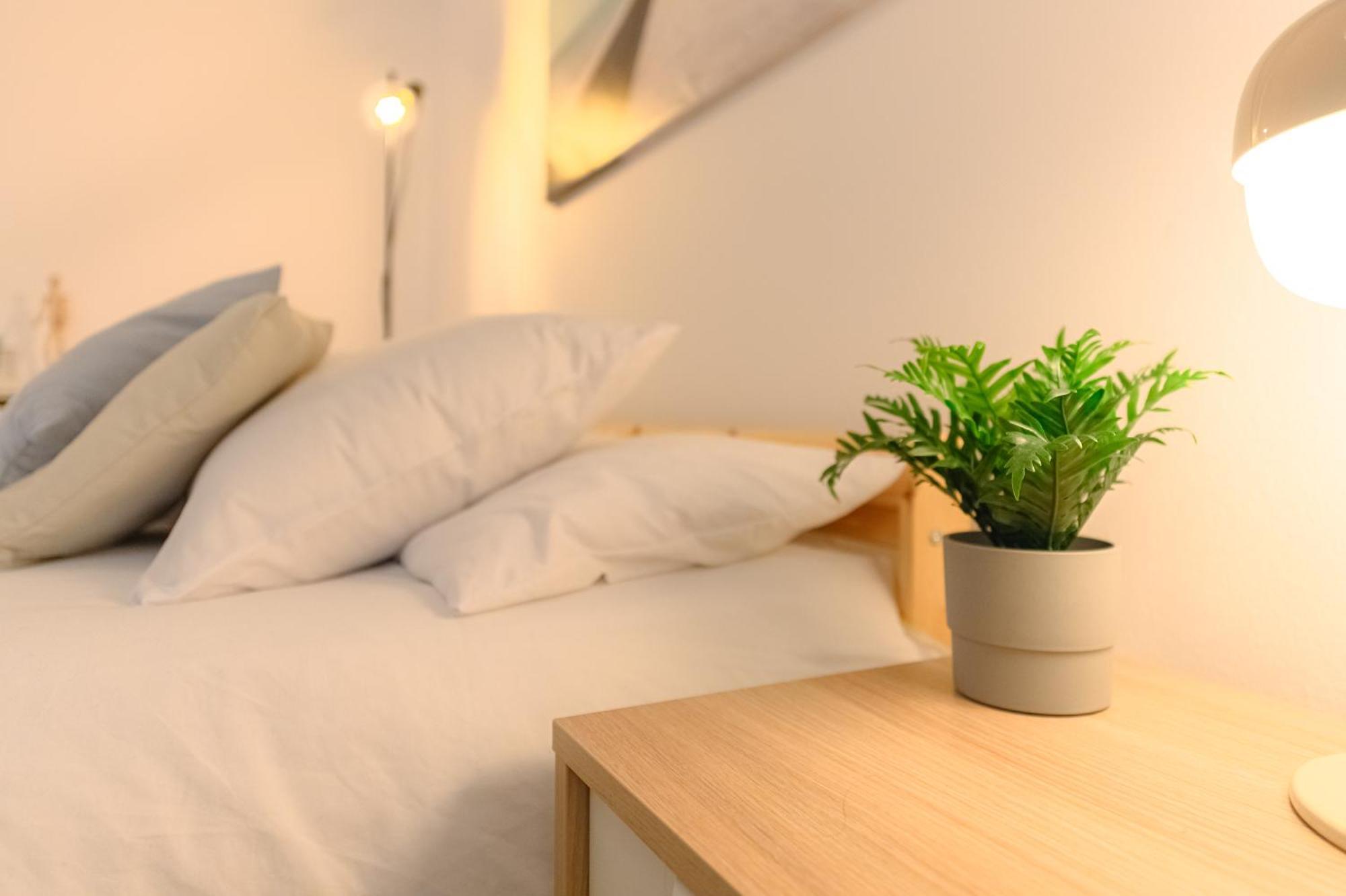 Apartamento En El Centro De