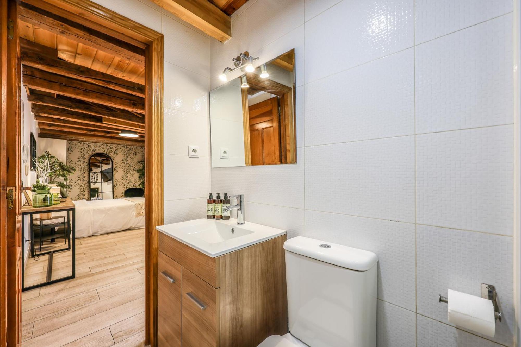 Apartment Ap Plaza De Espana 11