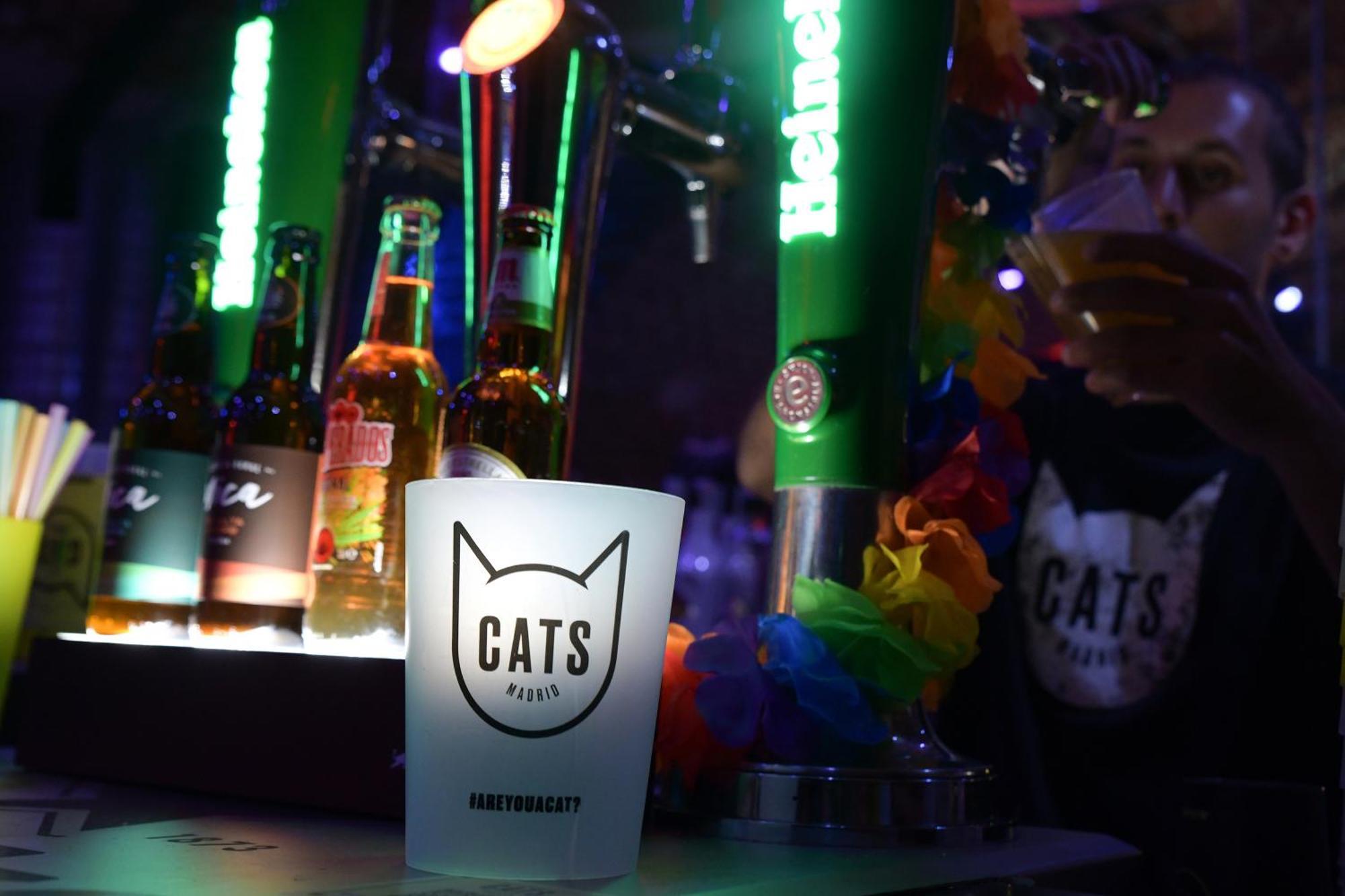 Cats Sol * Madri