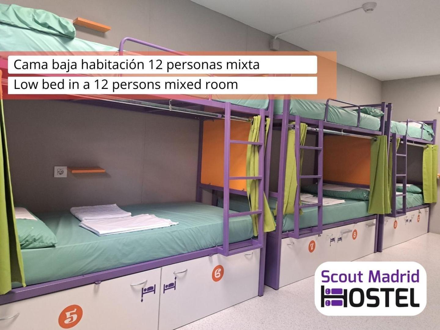 Scout Vandrerhjem *