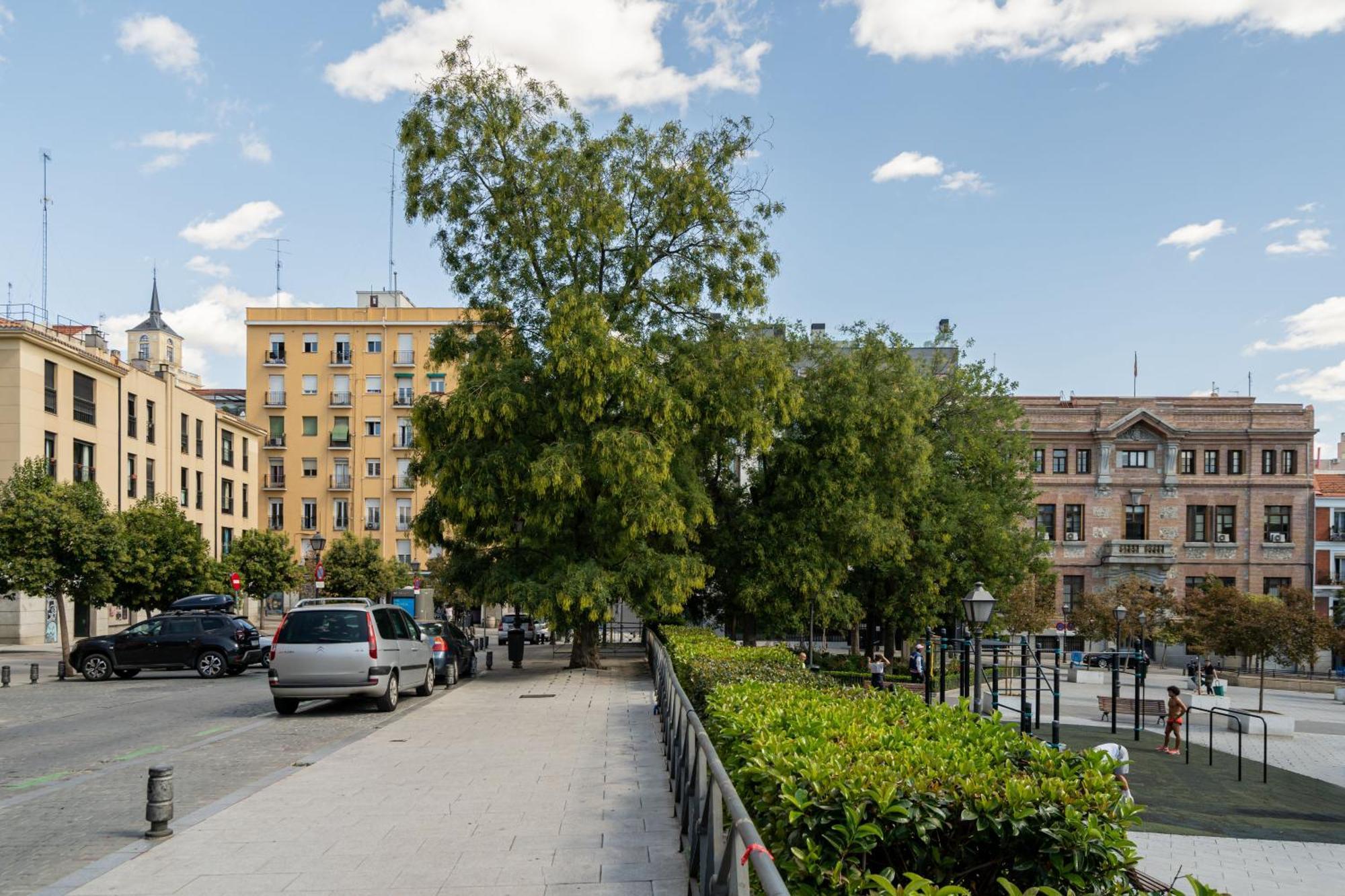 Precioso La Latina-rastro Arn Apartamento Madrid