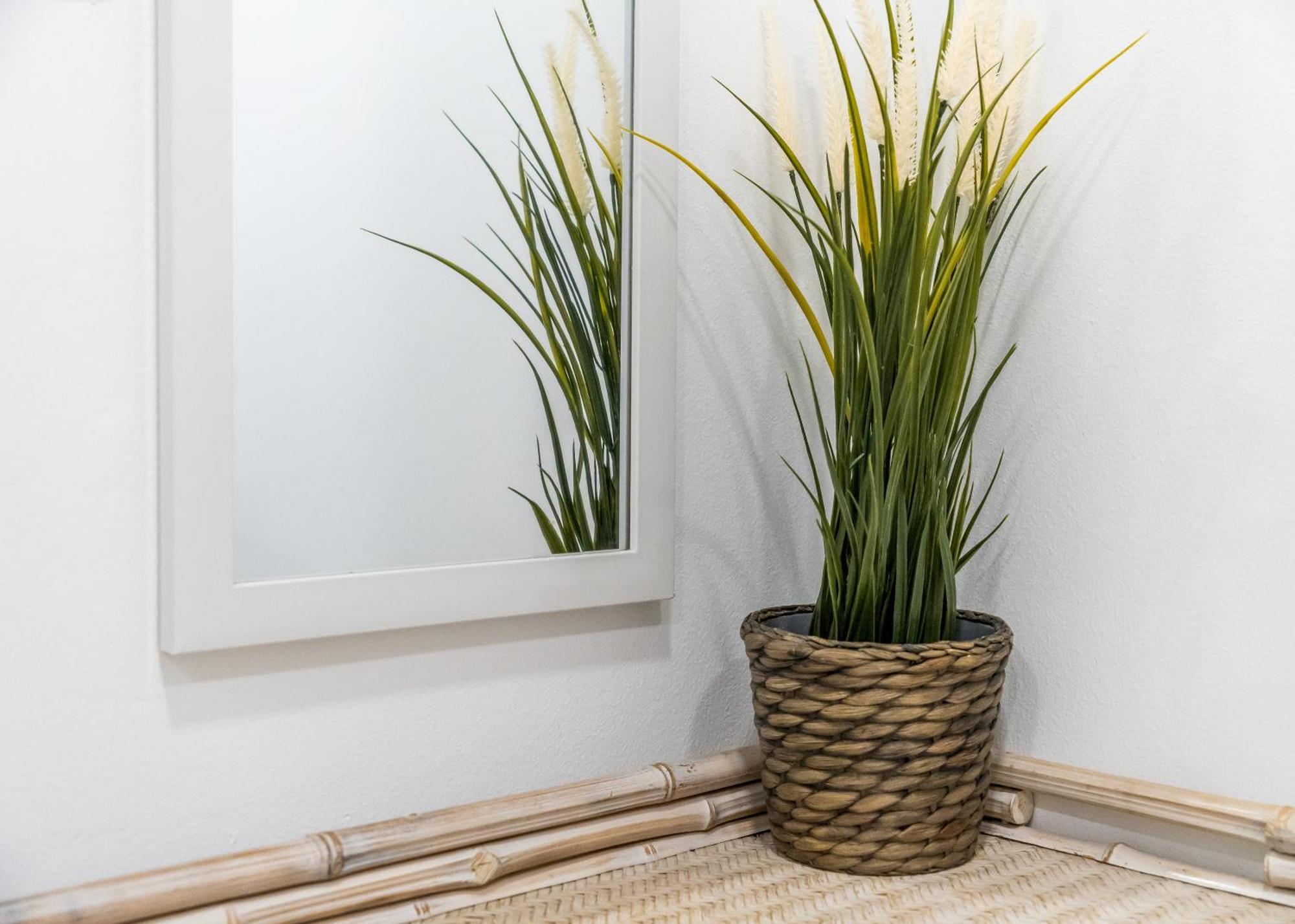 2 Bedrooms 1 Bathroom Furnished - Malasana - Modern In Downtown Area - Mintystay Apartamento *
