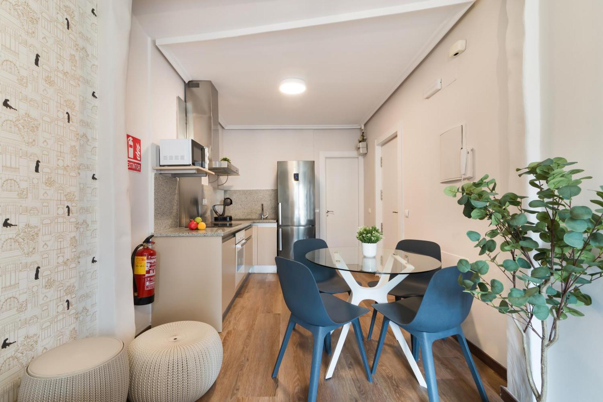 Roisa Centro Apartment Madrid