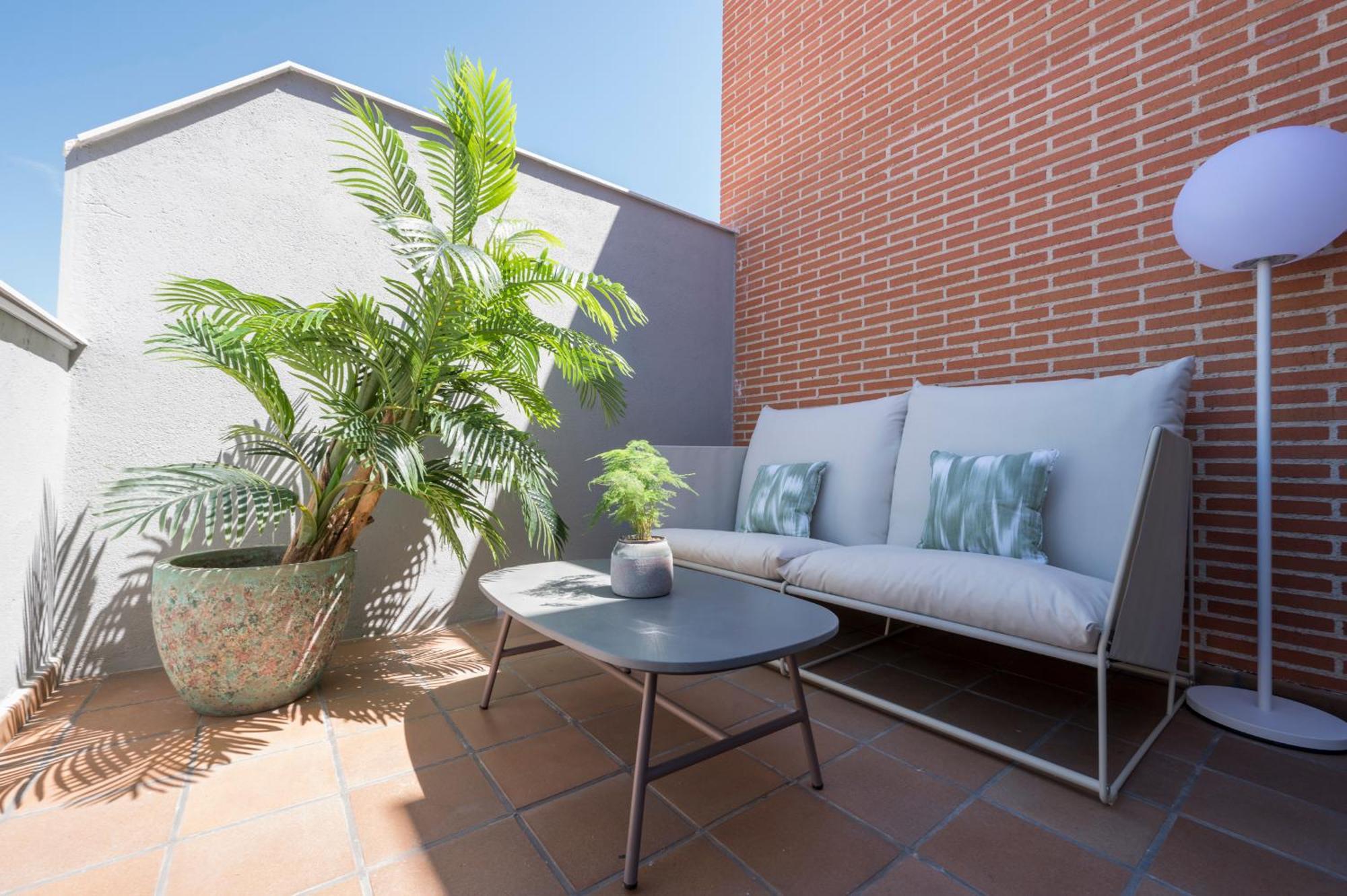 Miosotis Apartamento