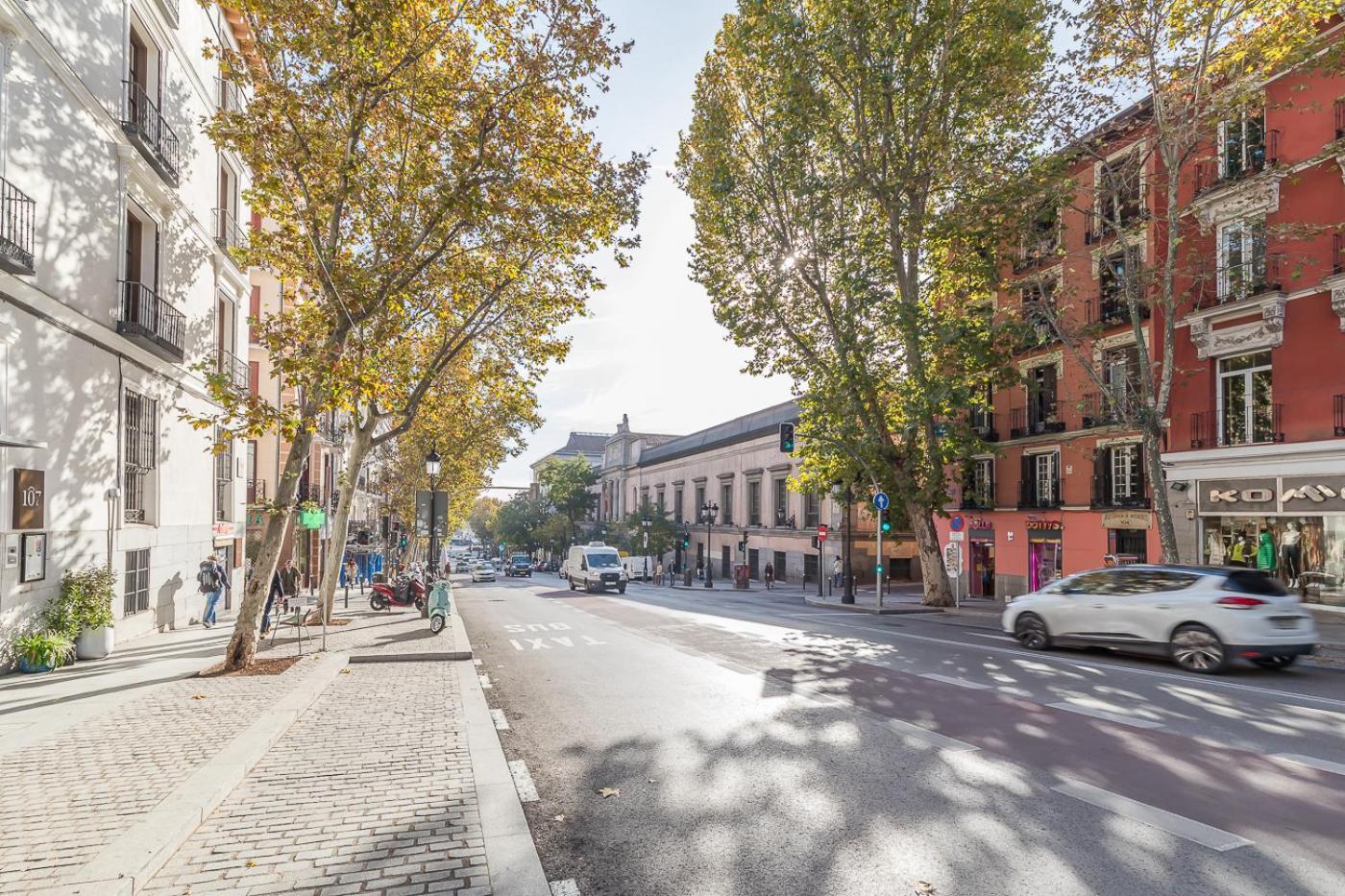 Gallery * Madrid