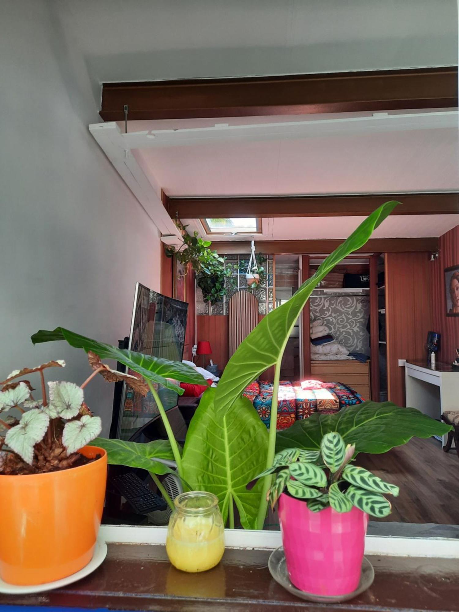 Loft Con Jardin *