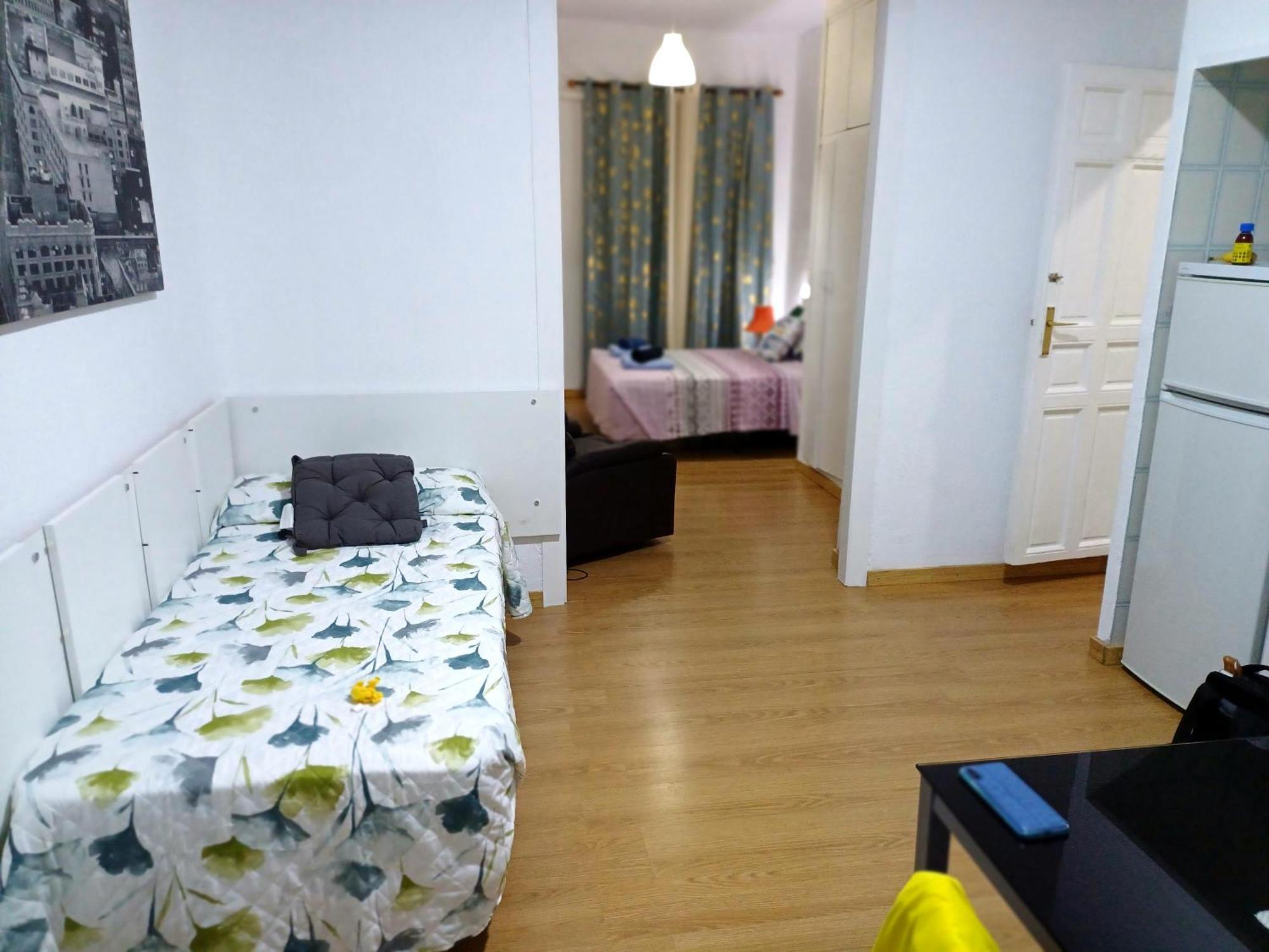 Estudio Grande Centro Apartment Madrid