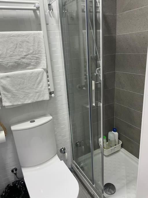 Apartment Acogedor Estudio D Junto A Metro Madrid