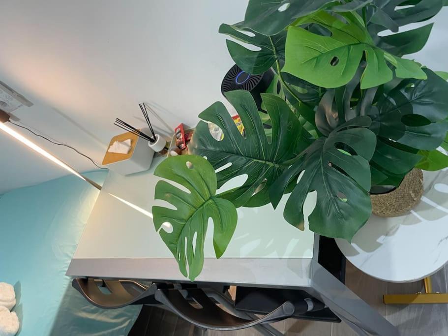 Acogedor Estudio D Junto A Metro Apartment *