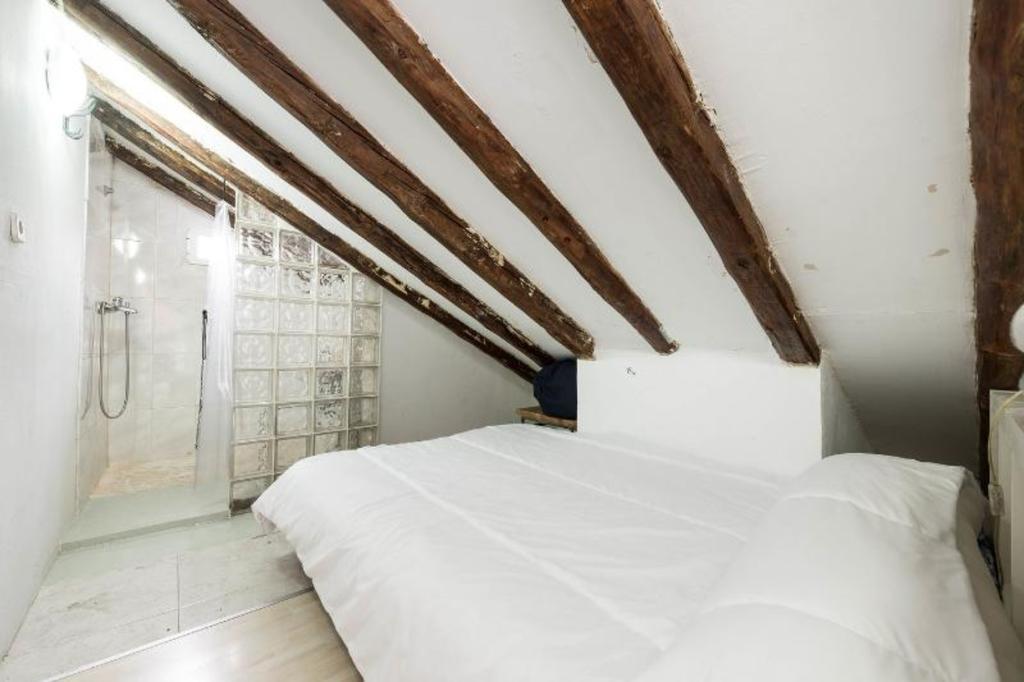 Atico Duplex Loft Lavapies