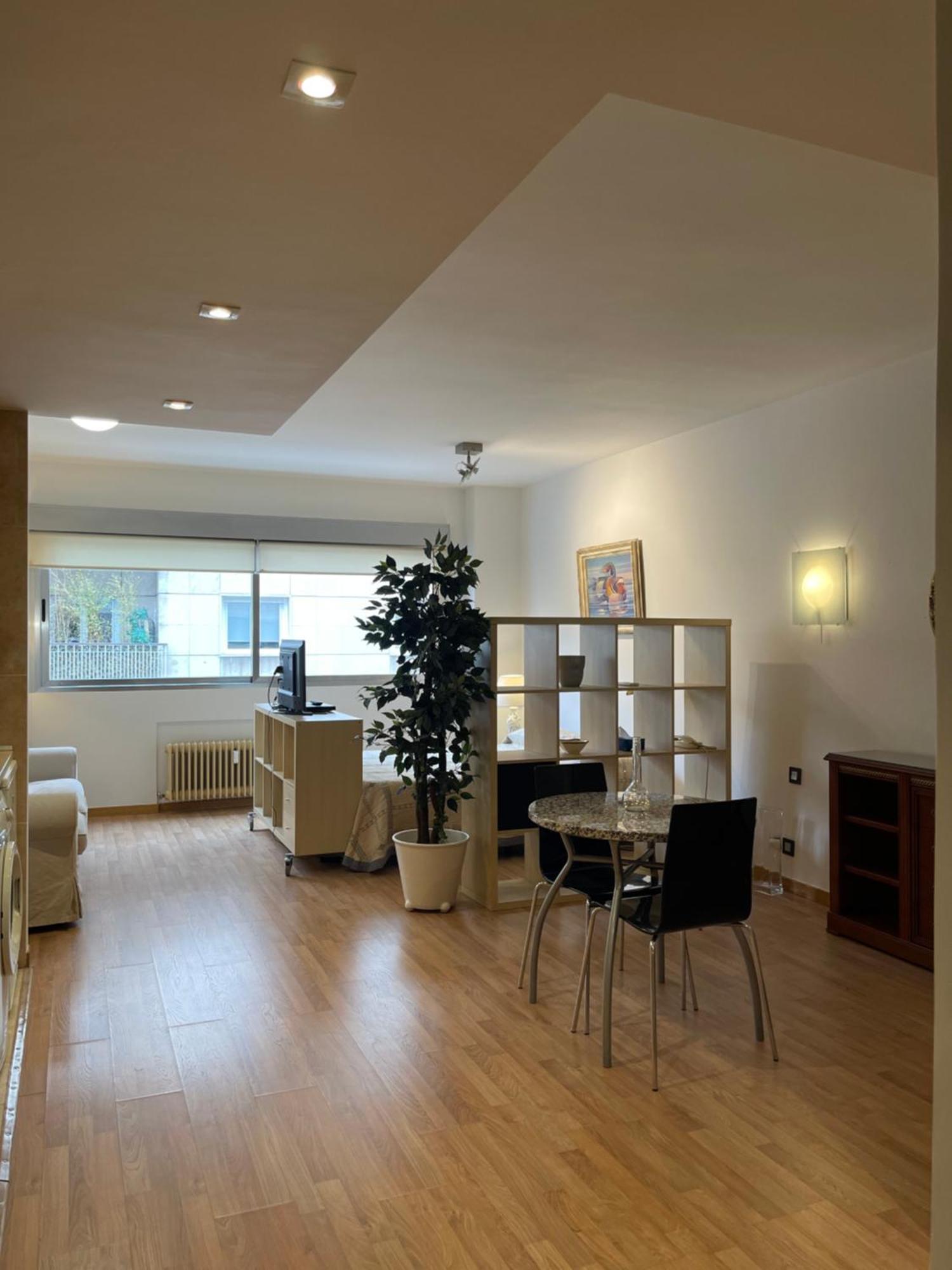 Apartamento Bernabéu Loft Moderno