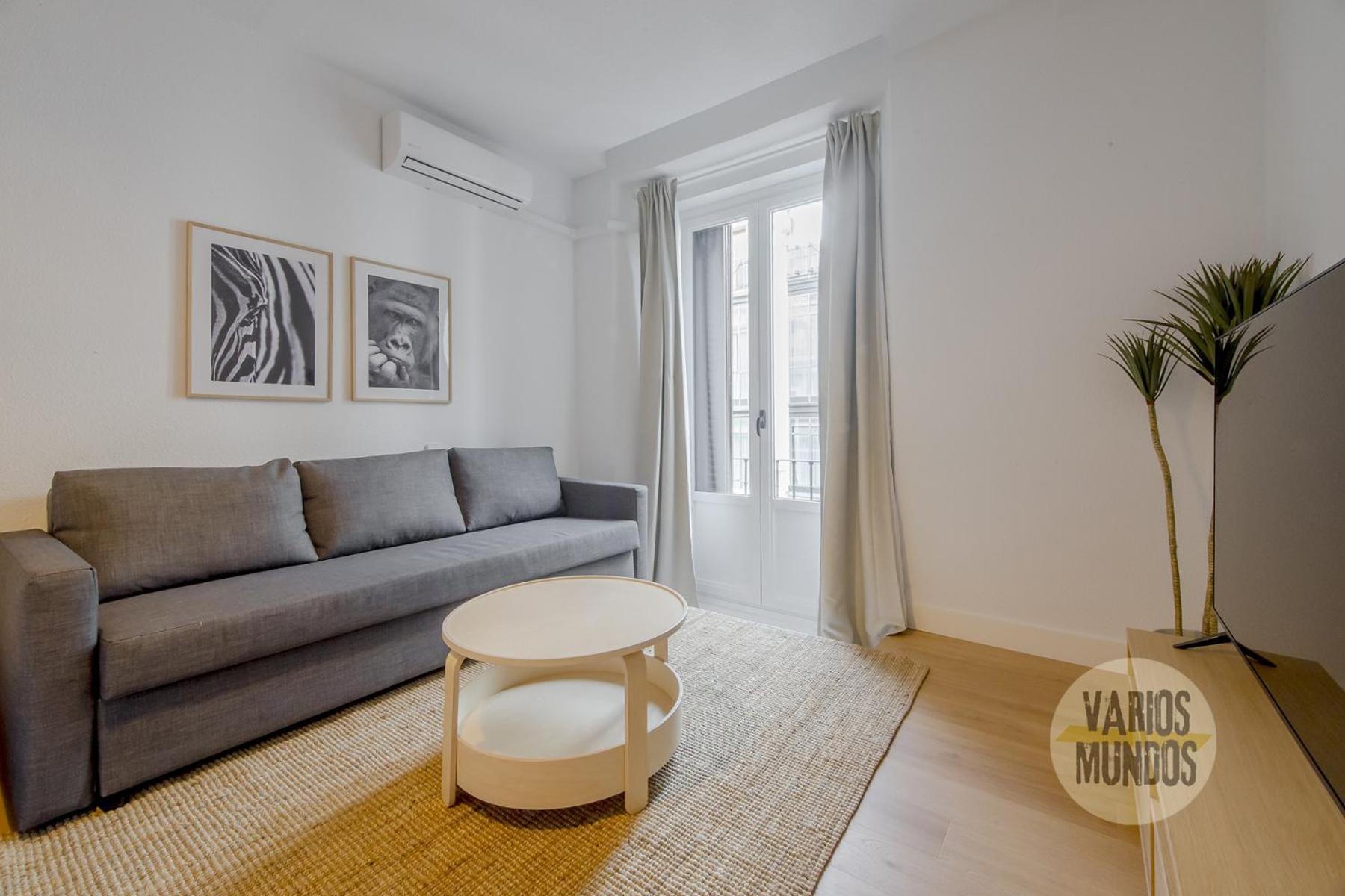 Comodo Y Centrico Loft En Calle Carretas - Centro * Madri