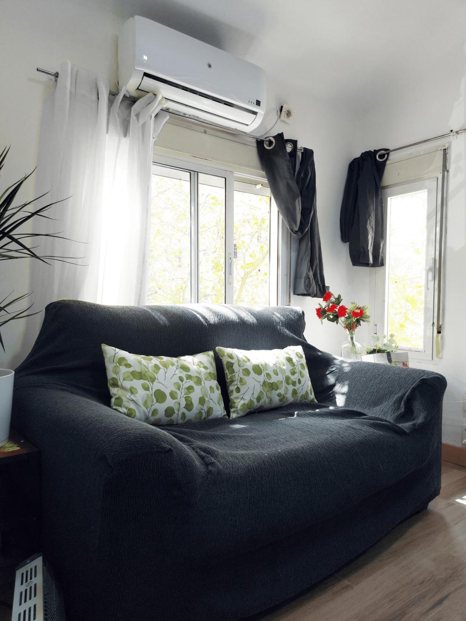 Apartment Homely Madrid