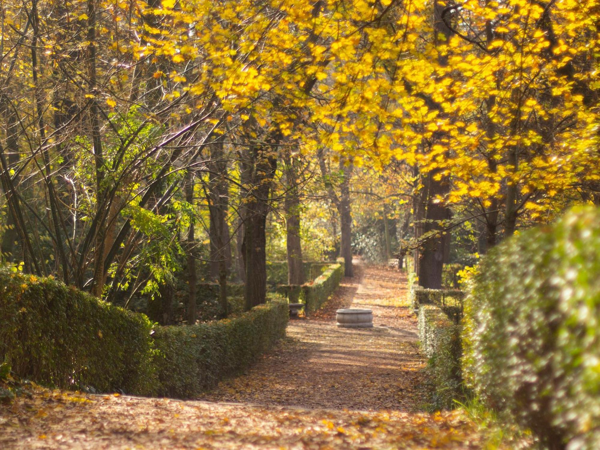 Exclusive Nestled In The Vibrant Neighborhood Of Neptuno Lejlighed Madrid