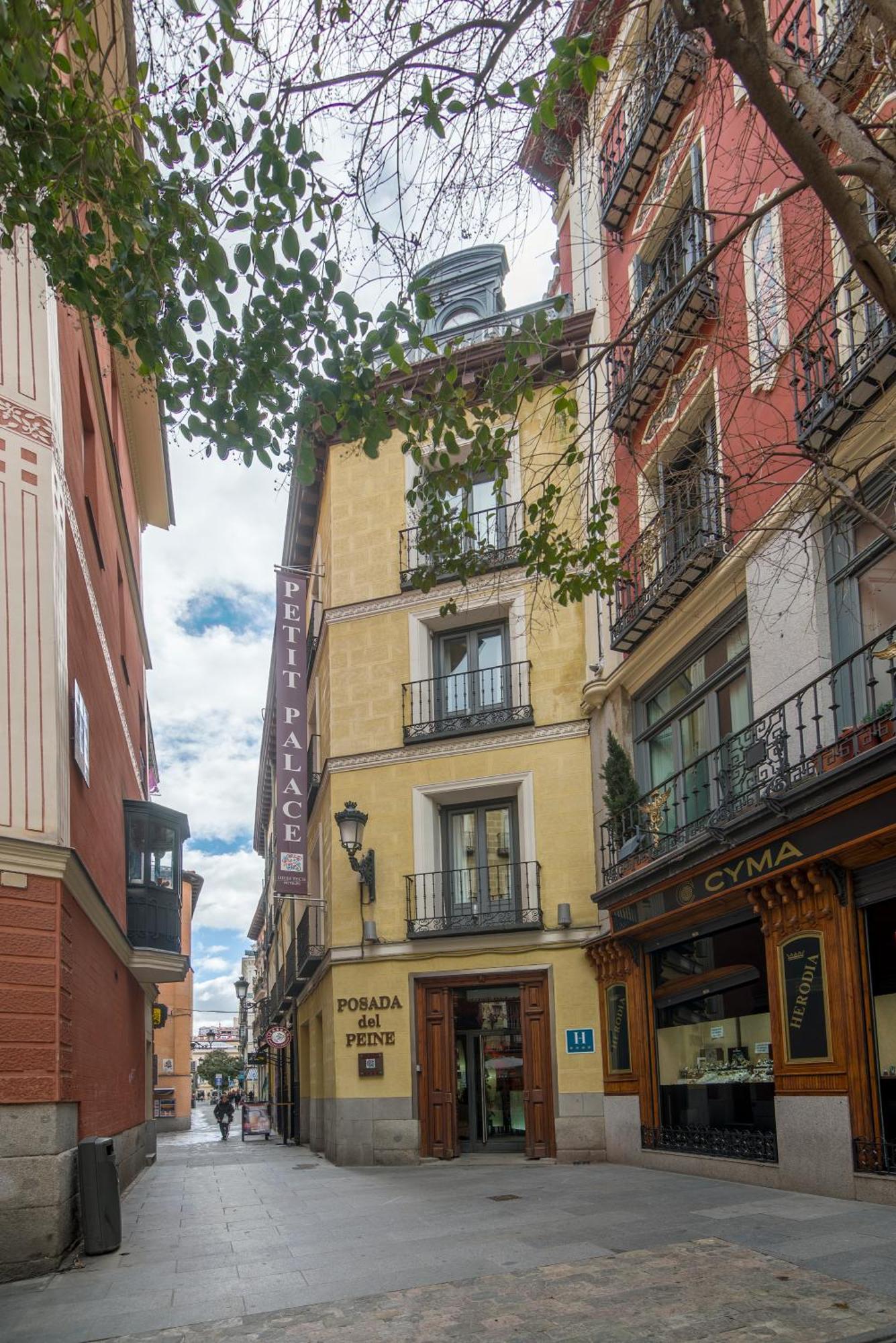 Hotel Petit Palace Del Peine 4*