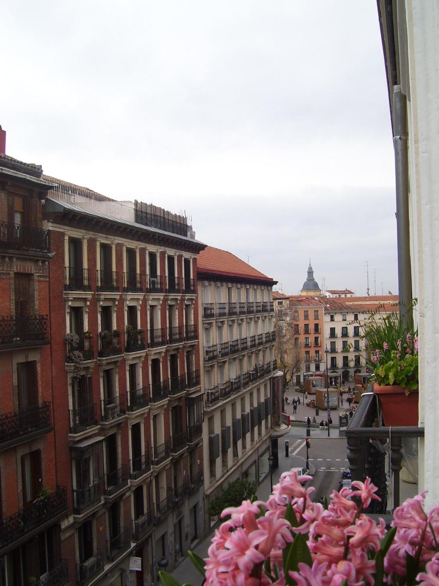 Huespedes Toledo