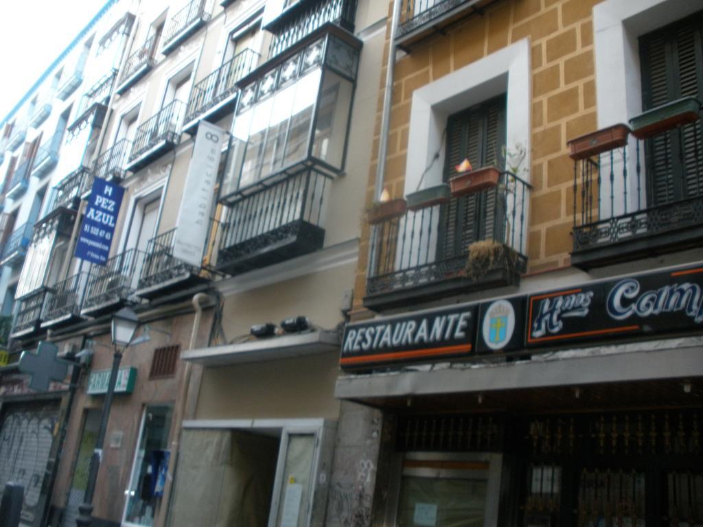 Del Pez Azul 3*