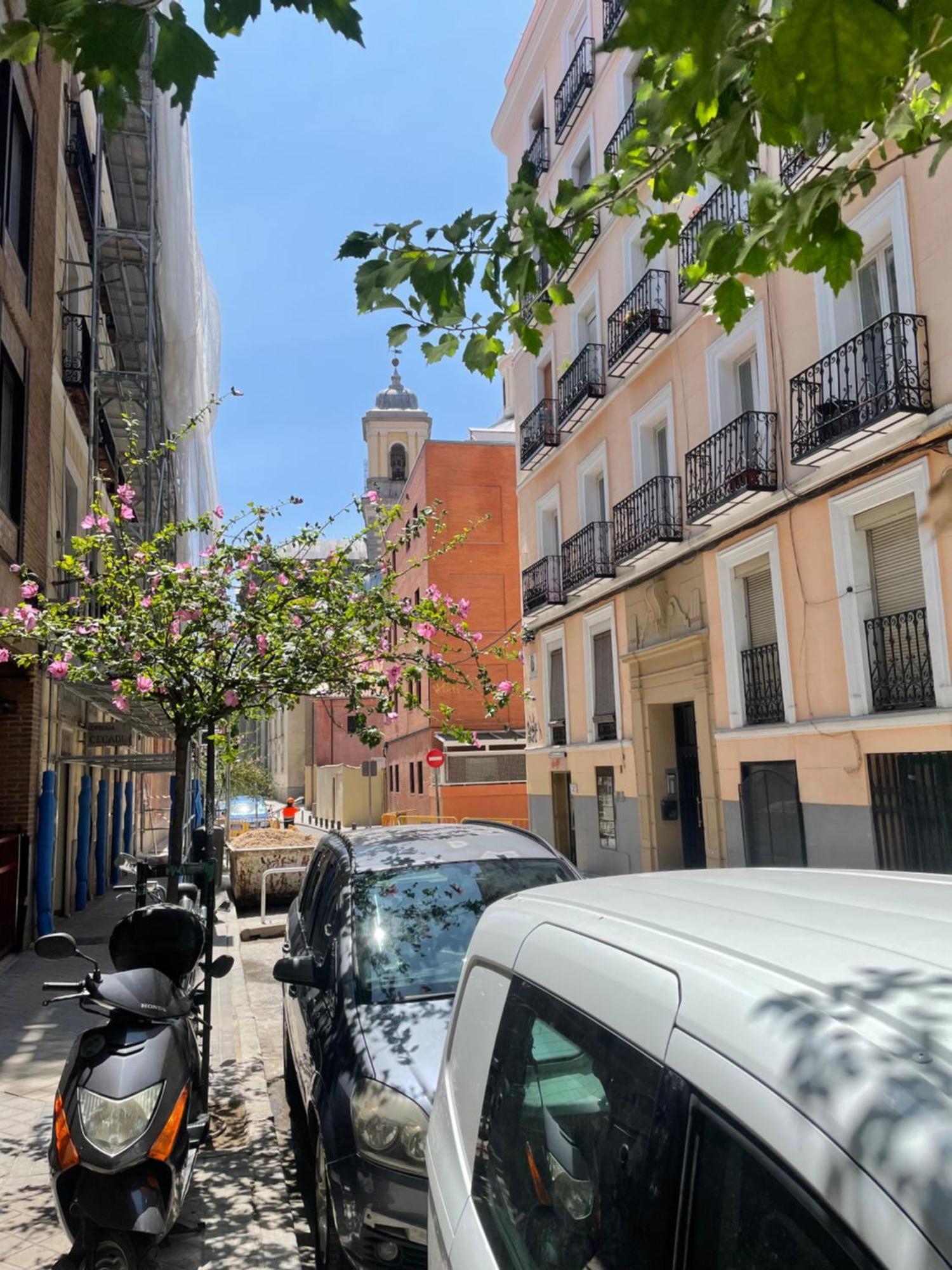 Lejlighed San Buenaventura Vistillas Apartamento Para Dos Madrid