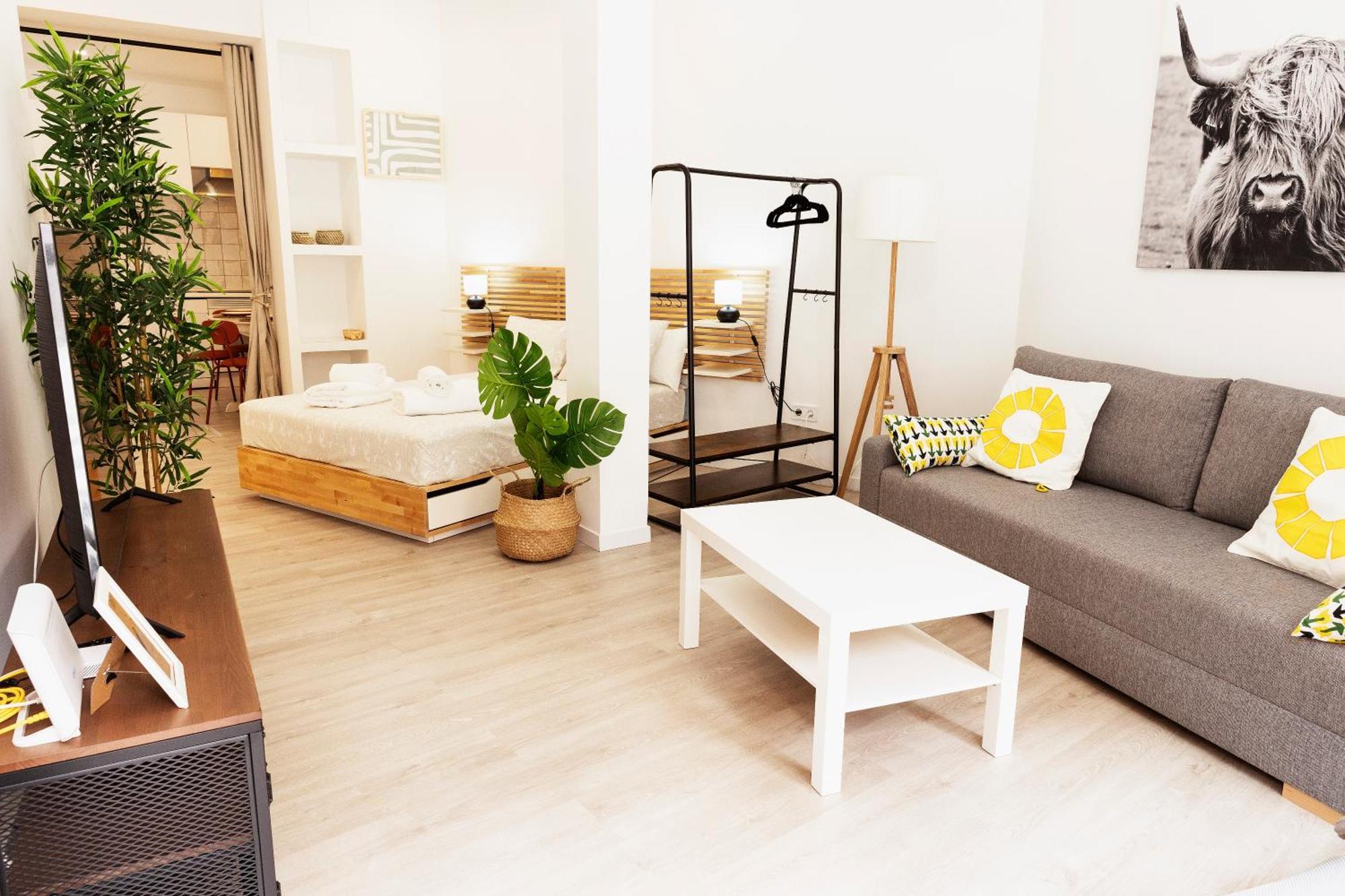 Apartment Bravo Murillo *