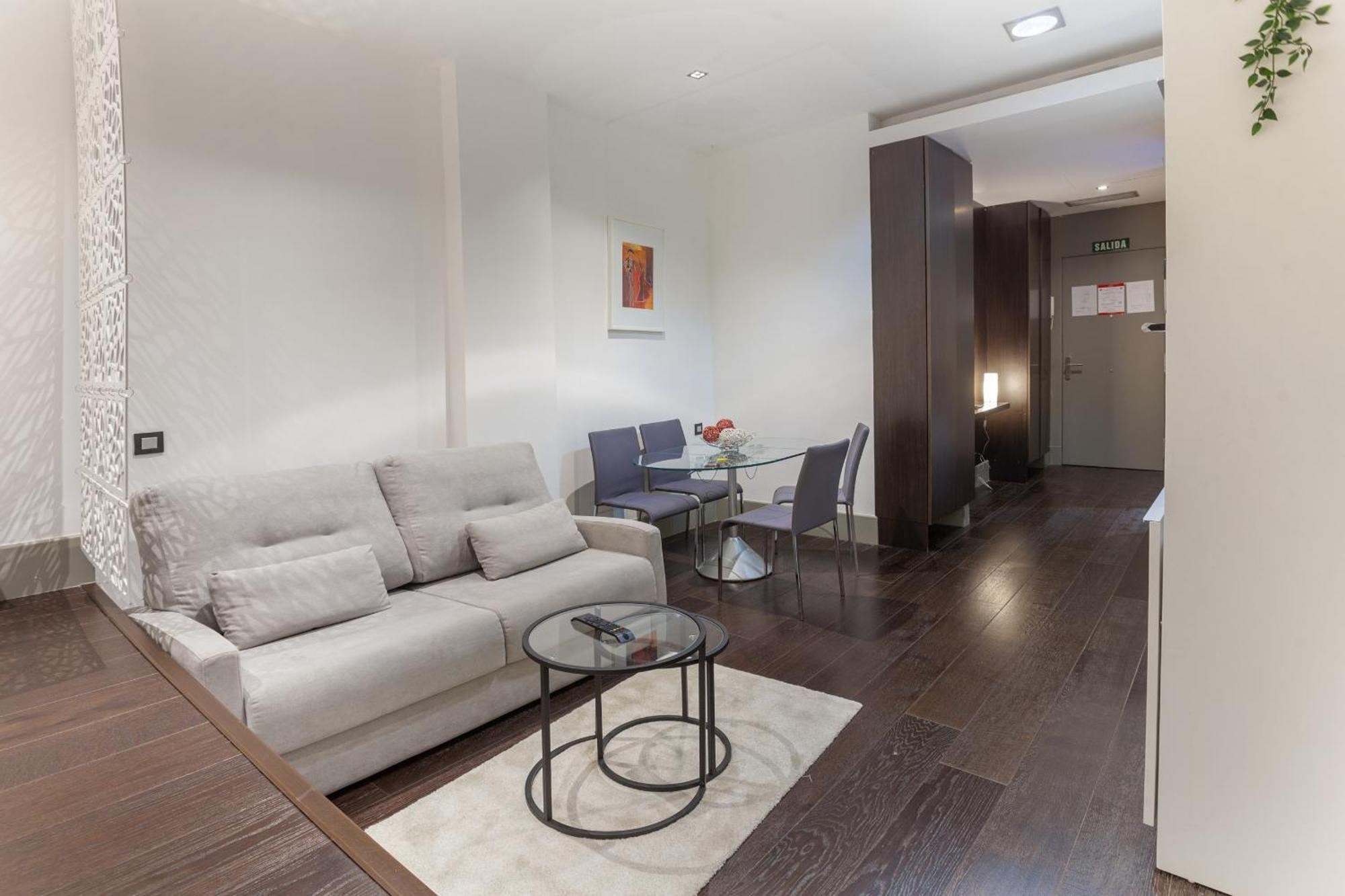 Apartment Cibeles En Madrid