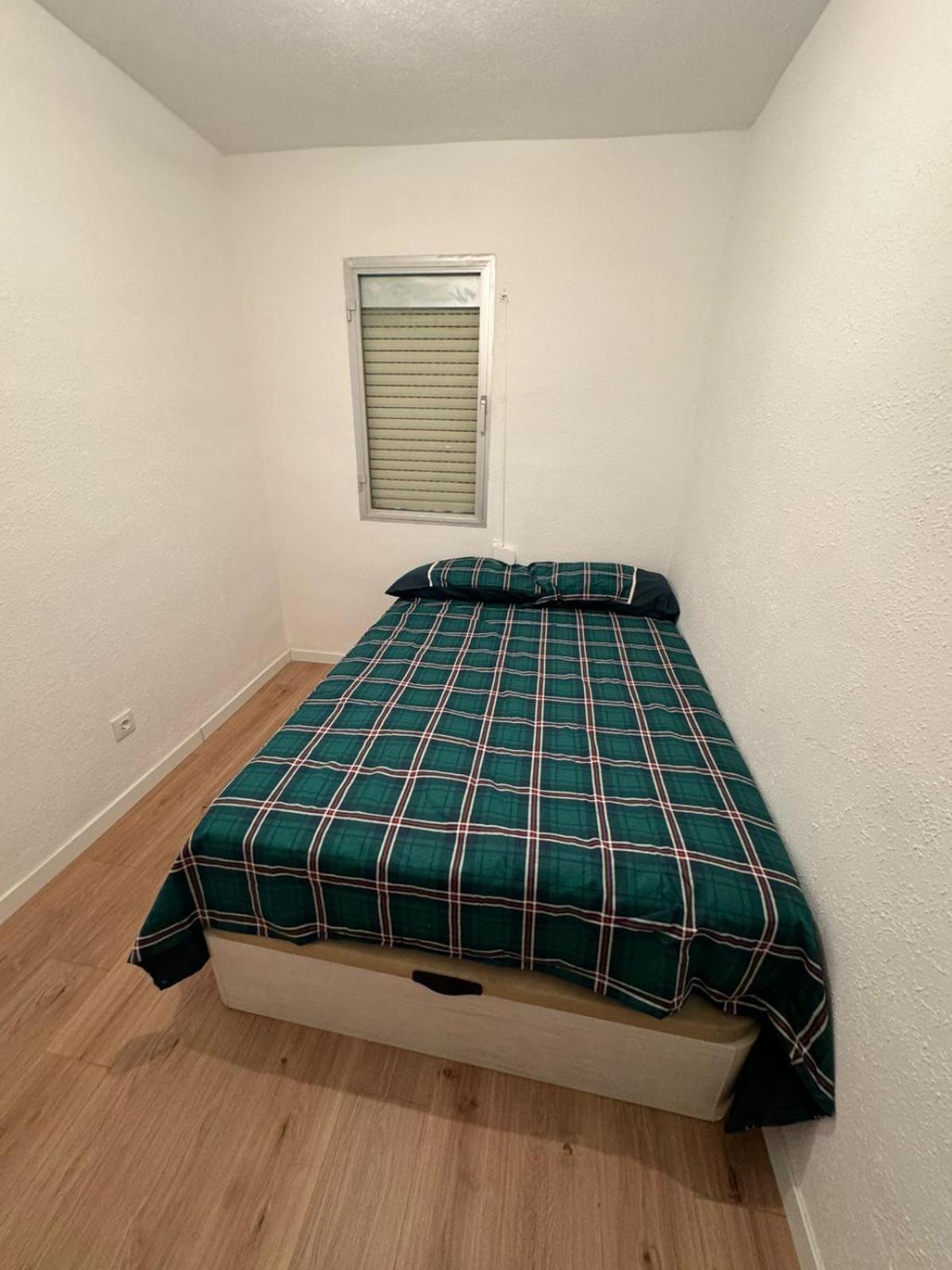 Basic Madrona Madri