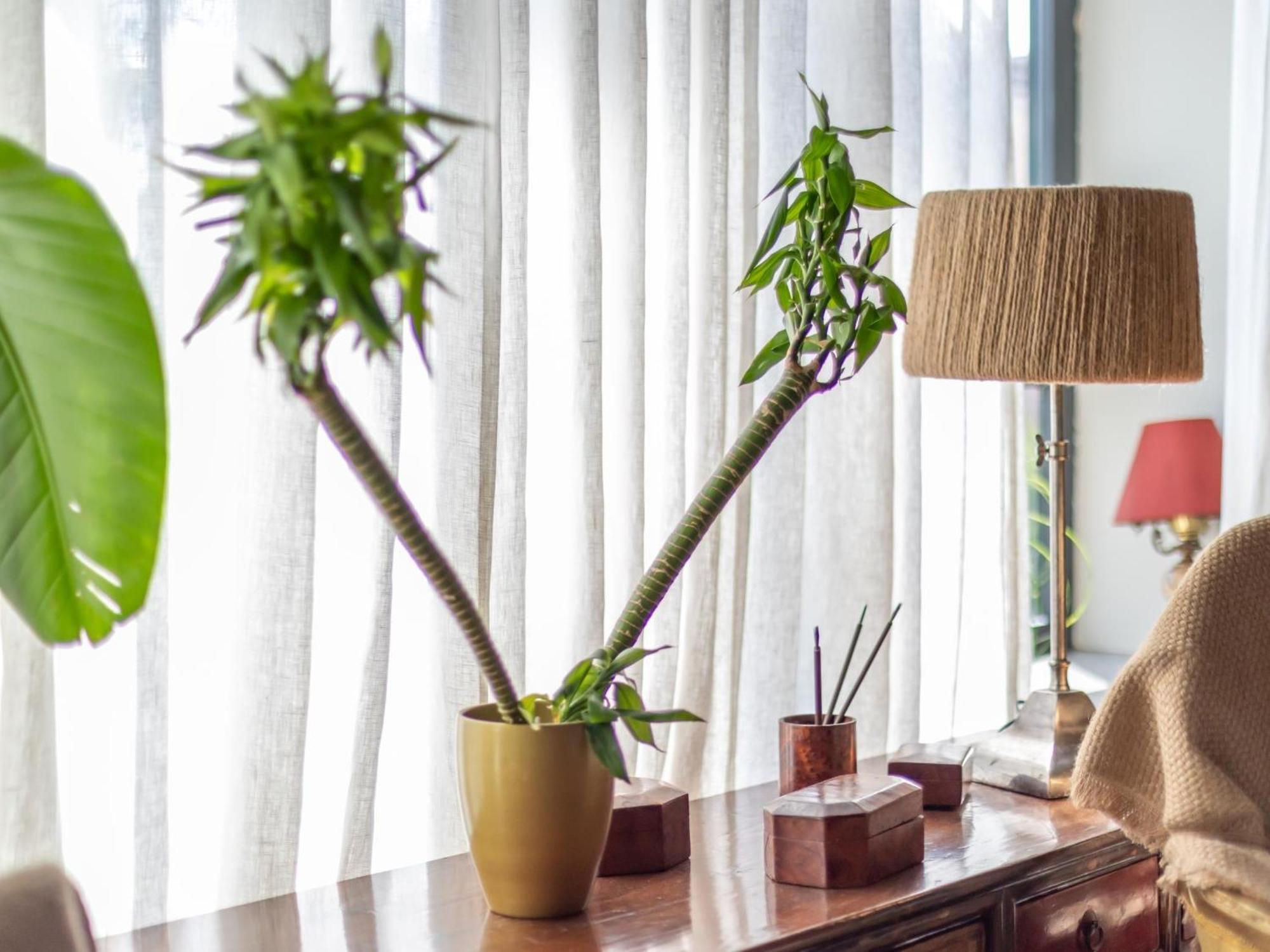 Sv Metropolitano Apartment