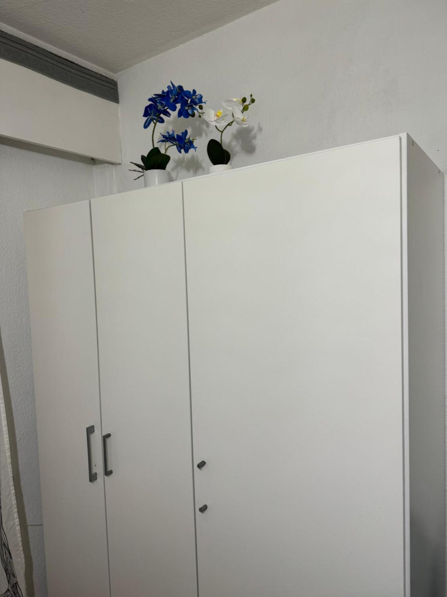 Estudio En Malasana