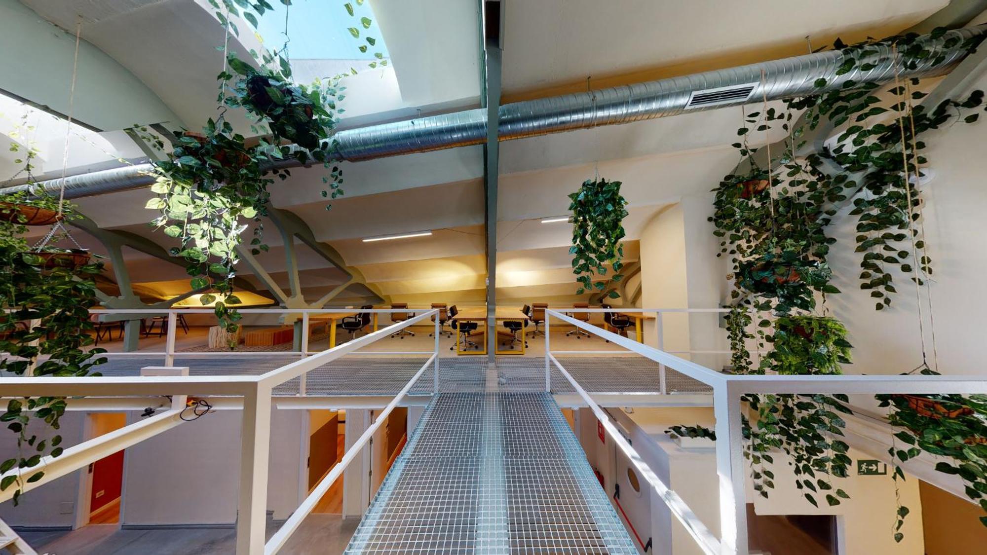 Ola Living Tetuan Gasthof