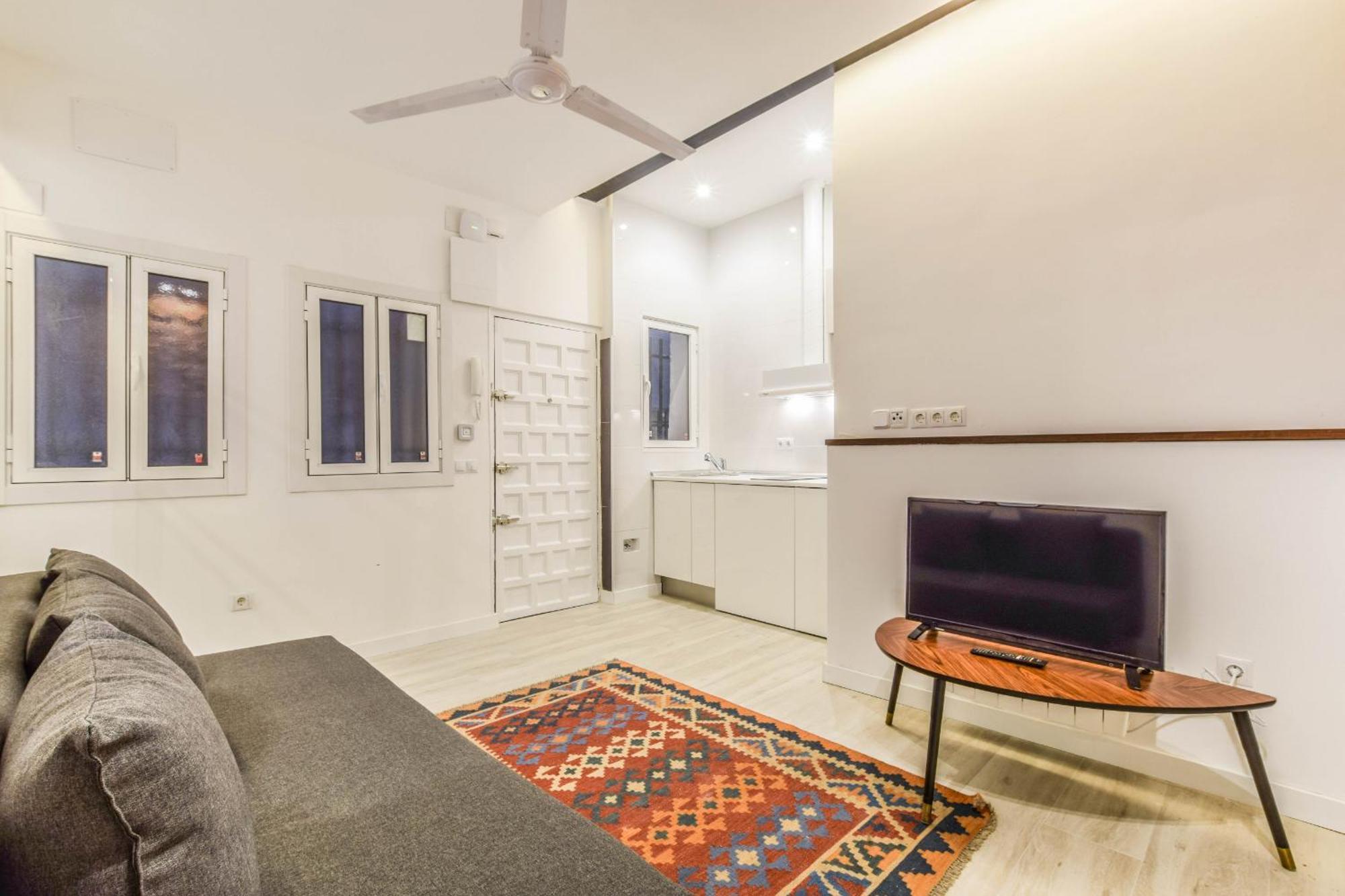 Apartment Acogedor En Anton Martin